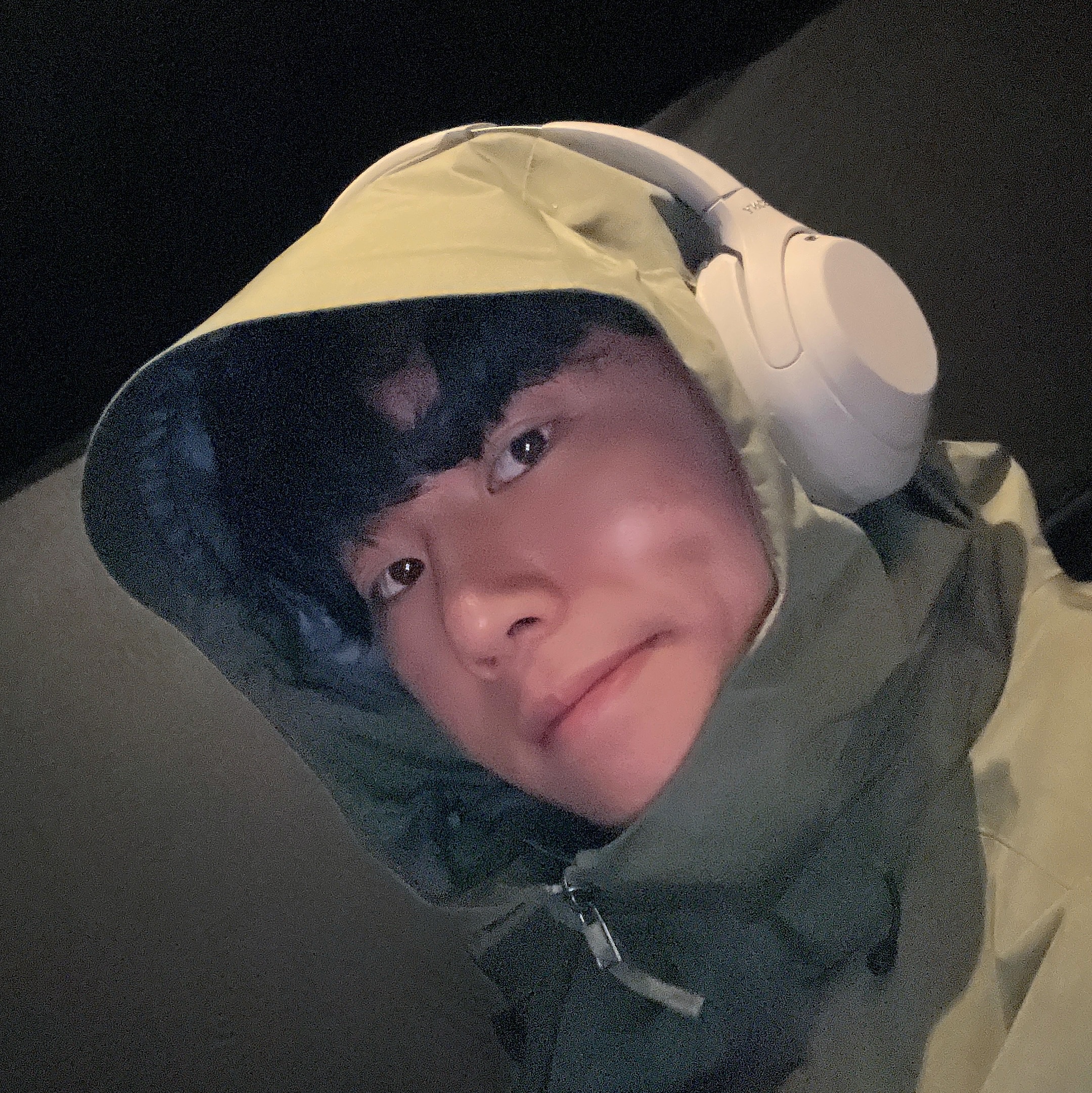 Arc'teryx Beta LT Jacket Tatsu, Sony WH-1000XM4 Platinum Silver (Korean Ver.) 착용 스타일 - 1