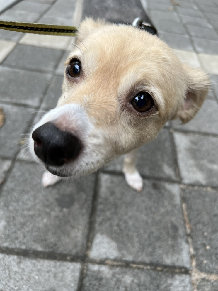 관심 유저 프로필 이미지