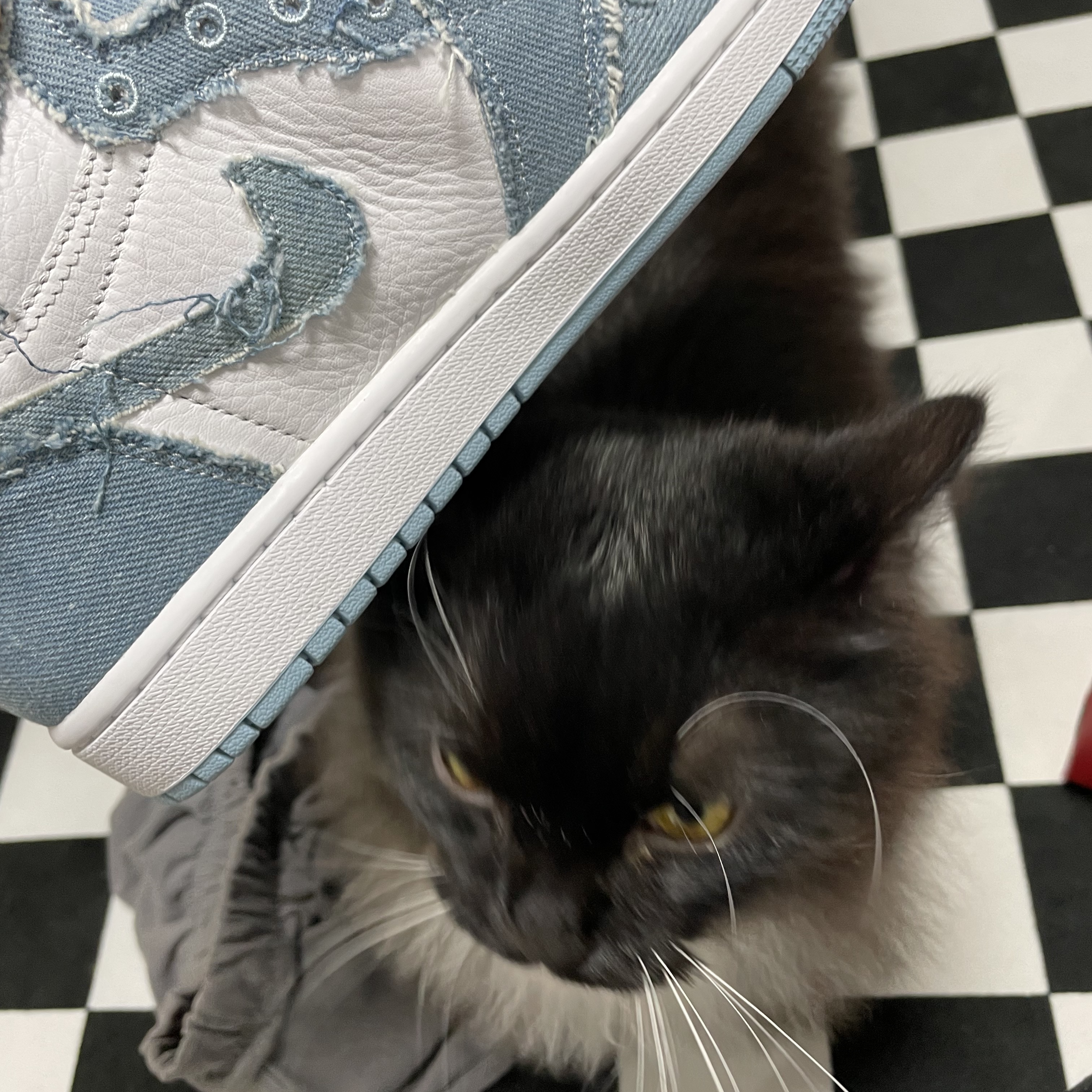 (W) Jordan 1 Retro High OG Denim 착용 스타일 - 2