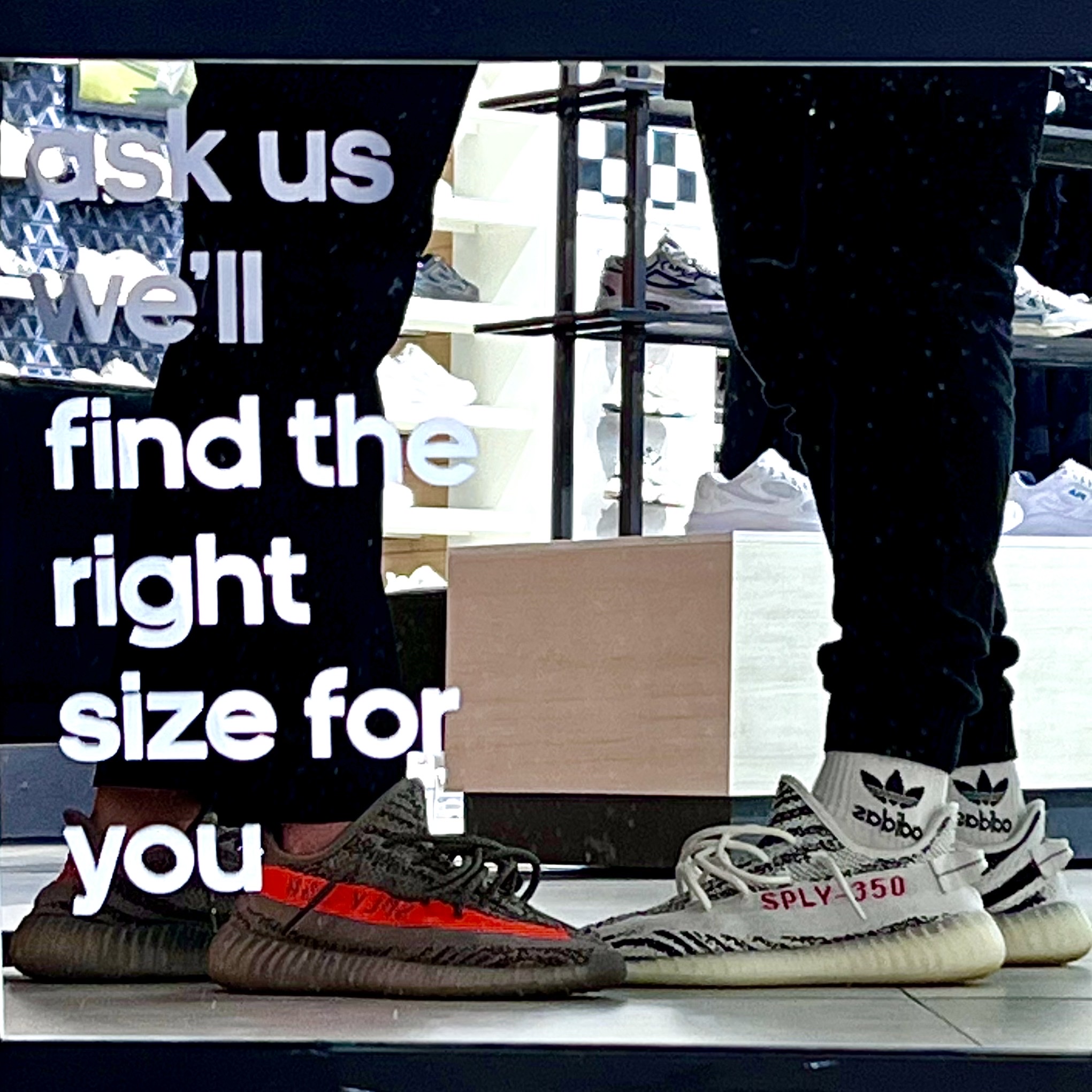 Adidas Yeezy Boost 350 V2 Beluga - Reflective, Adidas Yeezy Boost 350 V2 Zebra 2017/2019/2020 착용 스타일