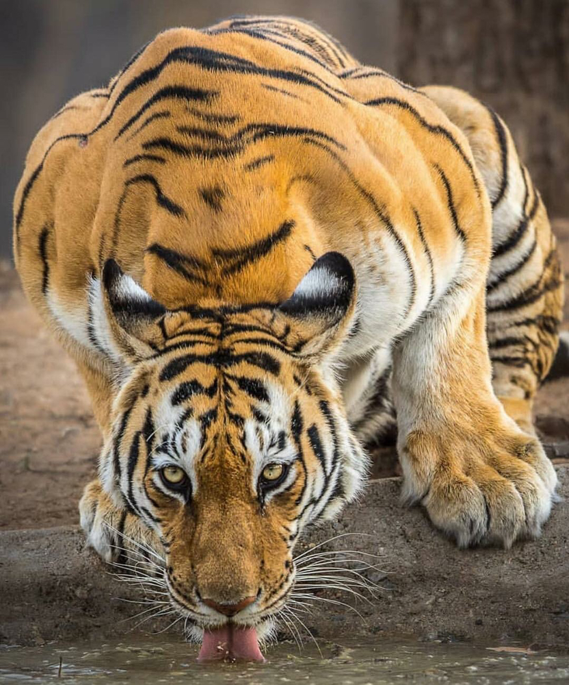 관심 유저 프로필 이미지