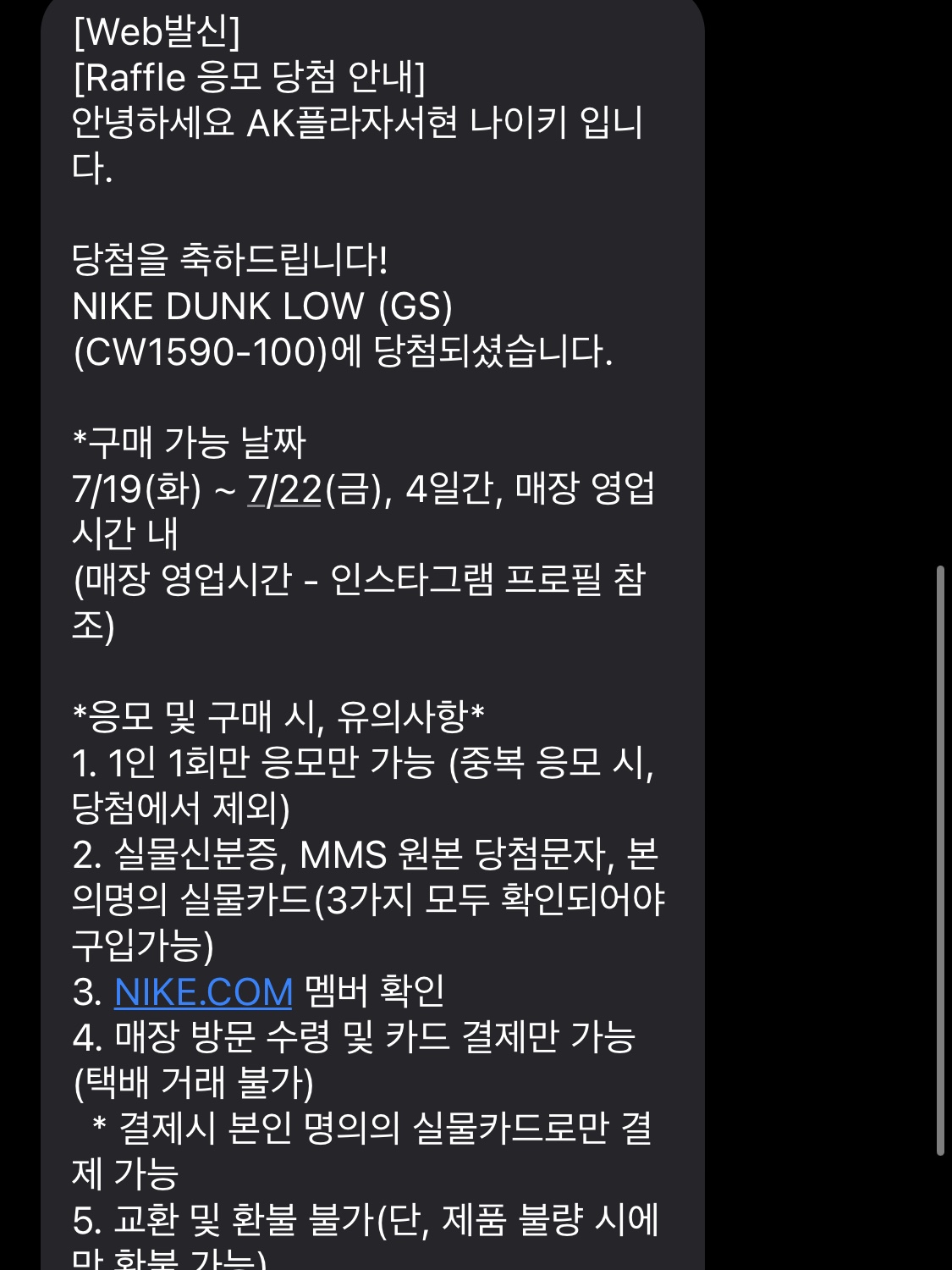 (GS) Nike Dunk Low Black 착용 스타일