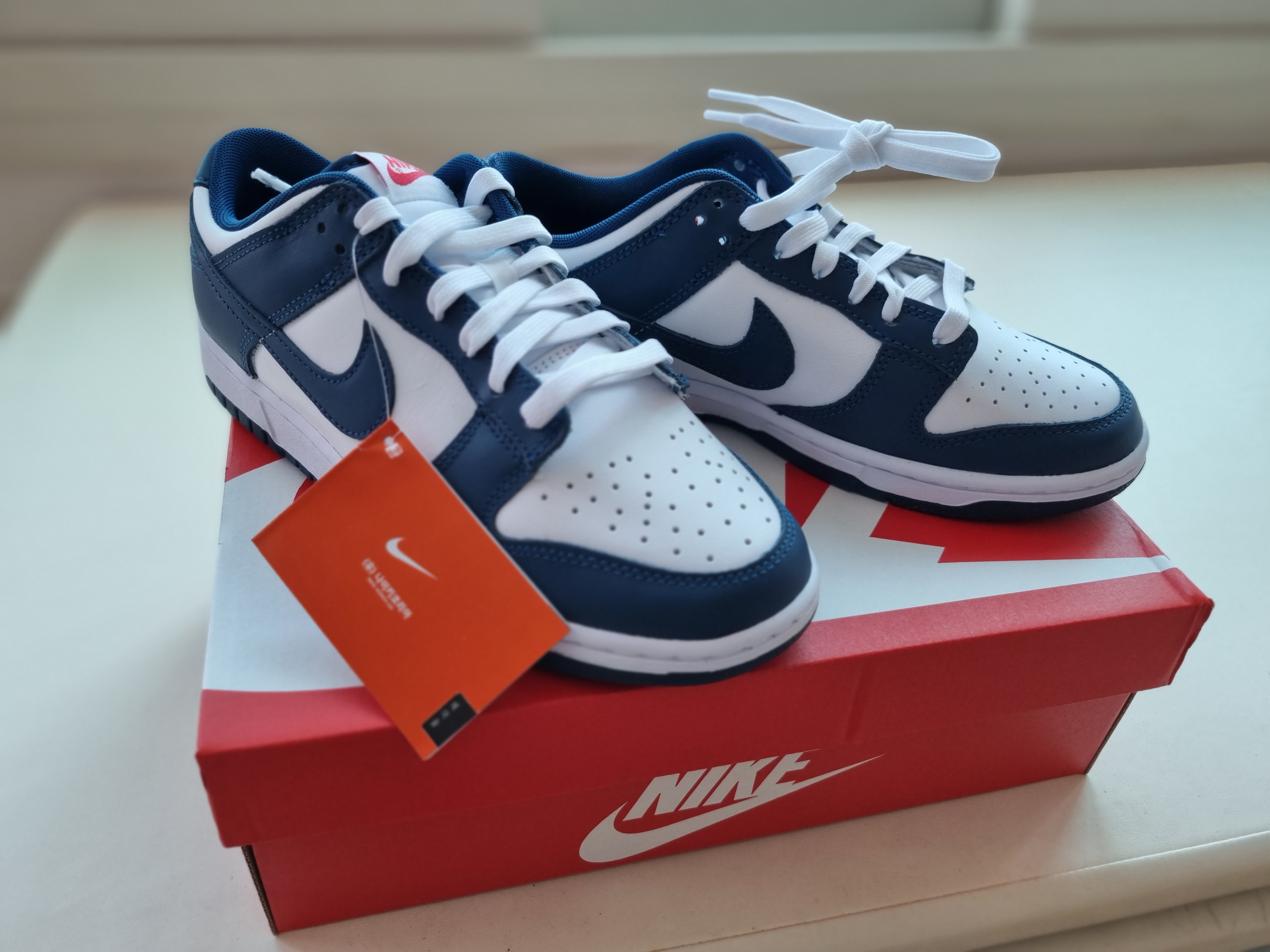 Nike Dunk Low Retro Valerian Blue 착용 스타일