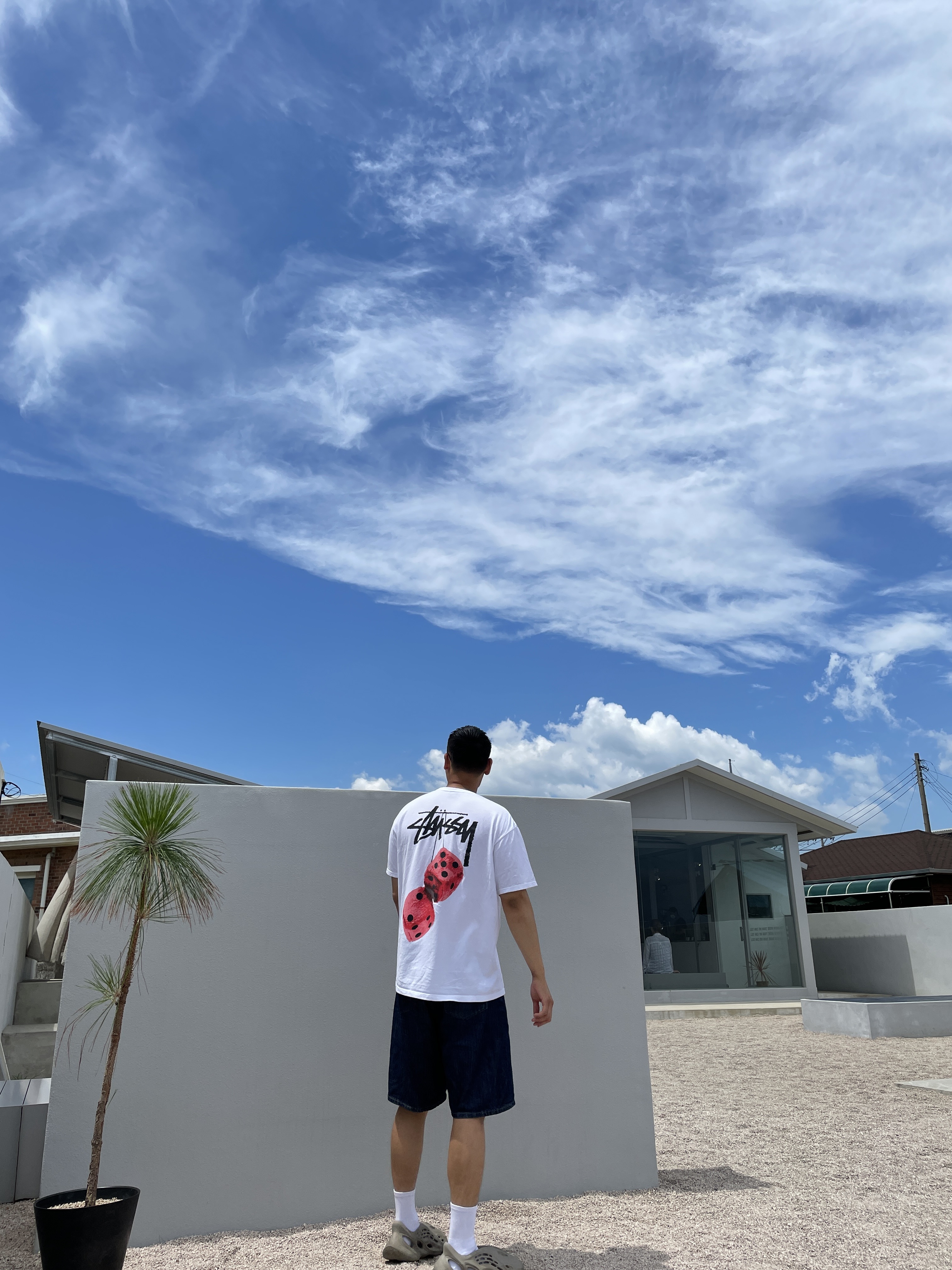 Stussy Fuzzy Dice T-Shirt White, Adidas Yeezy Foam RNNR Stone Sage 착용 스타일 - 1
