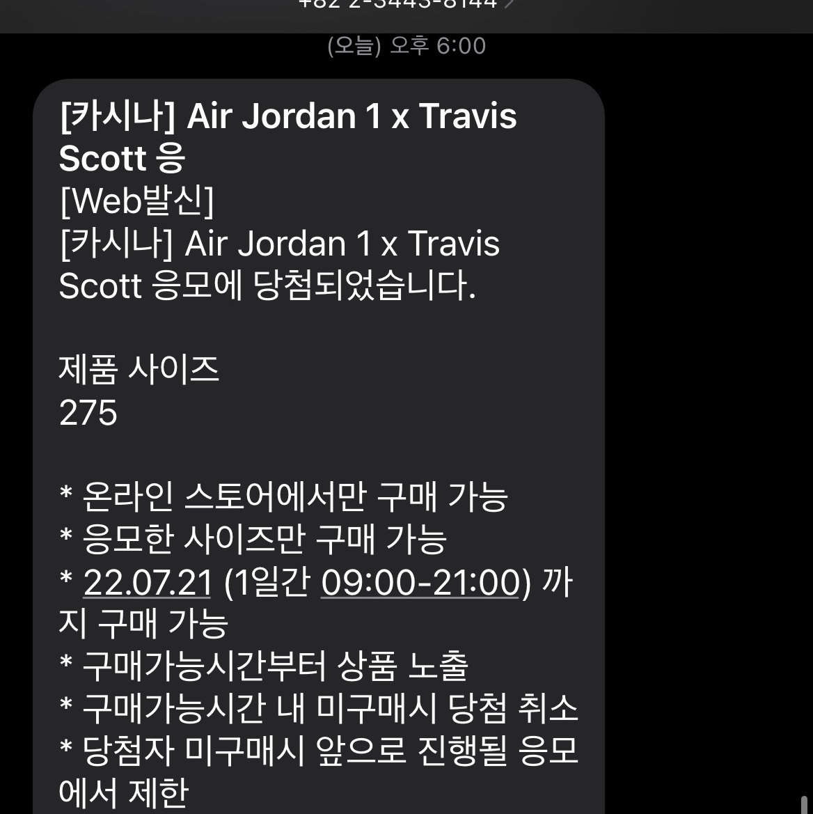 Jordan 1 x Travis Scott Retro Low OG SP Sail and Ridgerock 착용 스타일