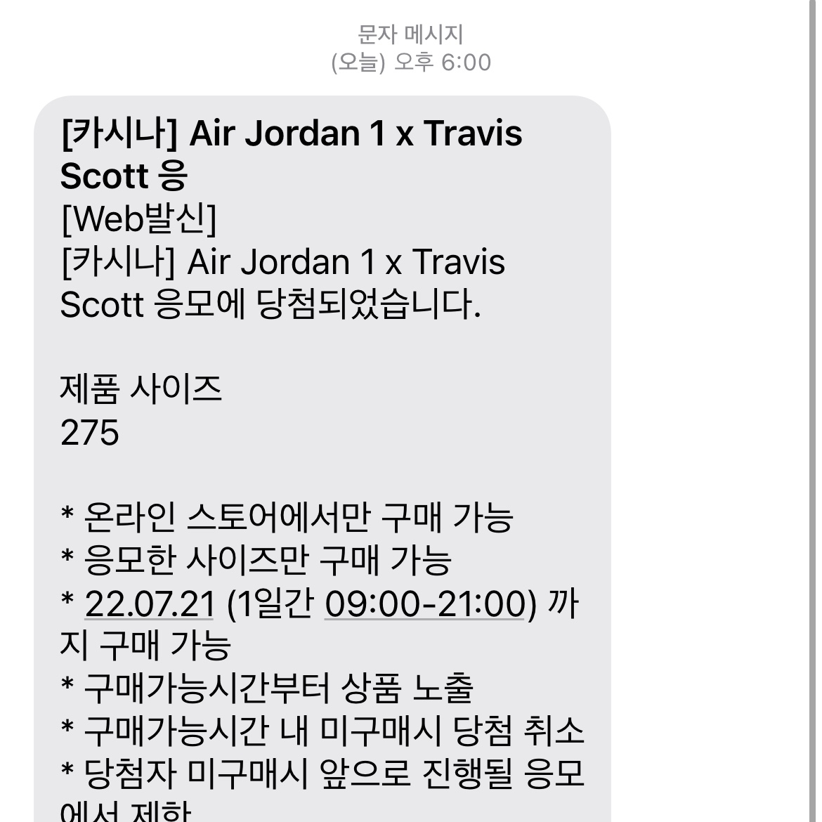 Jordan 1 x Travis Scott Retro Low OG SP Sail and Ridgerock 착용 스타일