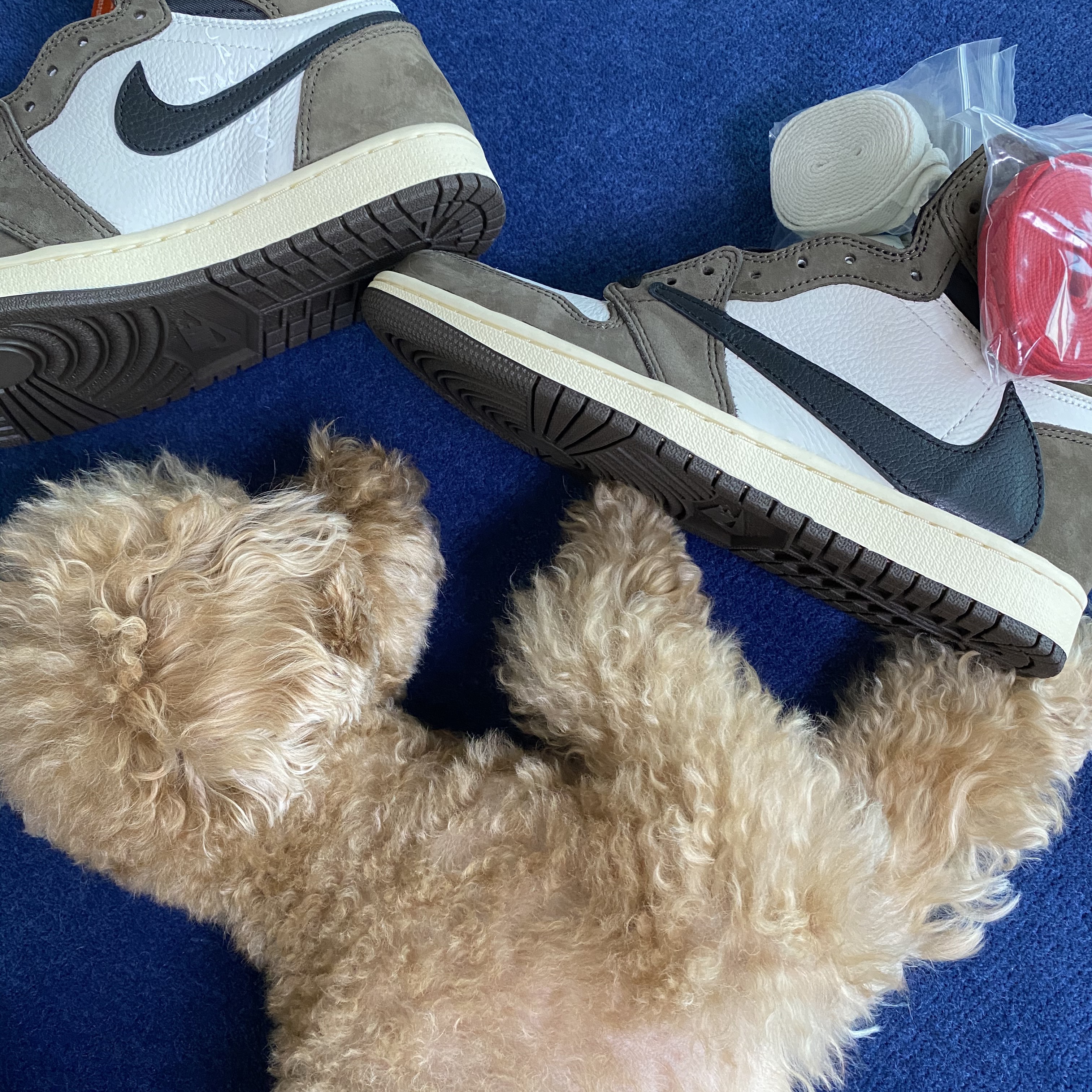 Jordan 1 x Travis Scott Retro High OG SP Mocha 착용 스타일 - 2