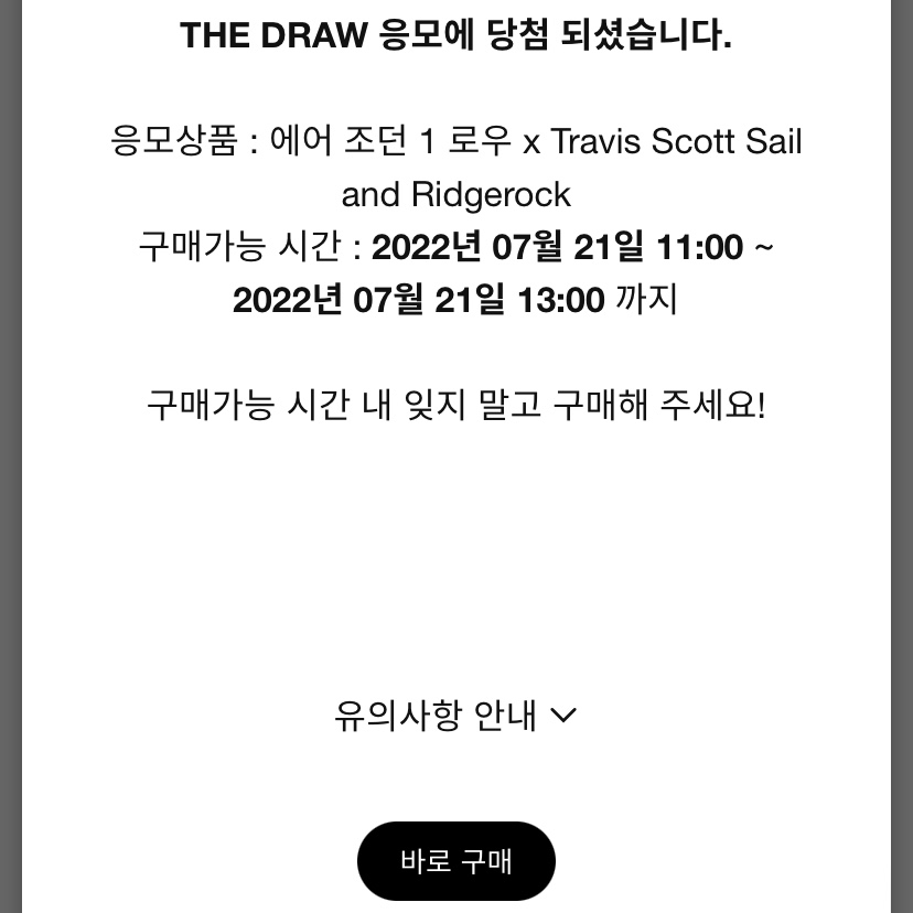 Jordan 1 x Travis Scott Retro Low OG SP Sail and Ridgerock 착용 스타일