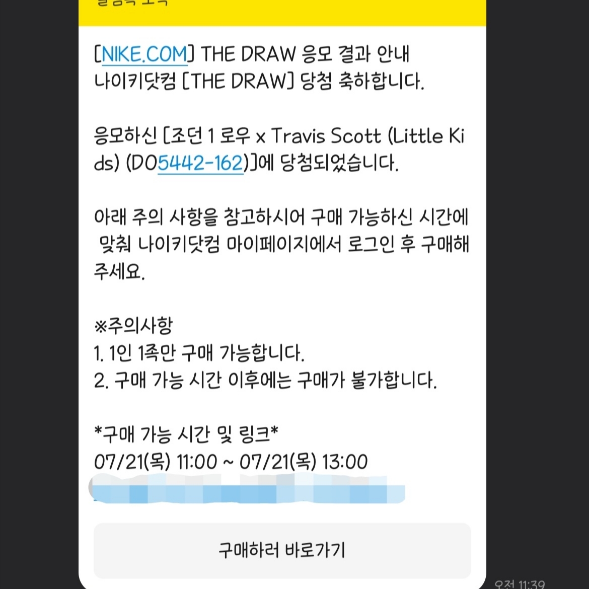 (PS) Jordan 1 x Travis Scott Retro Low OG SP Sail and Ridgerock 착용 스타일