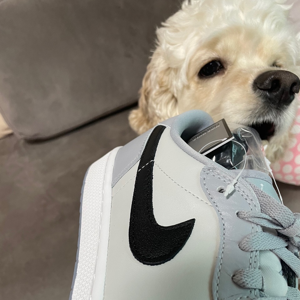 Jordan 1 Low Golf Wolf Grey 착용 스타일