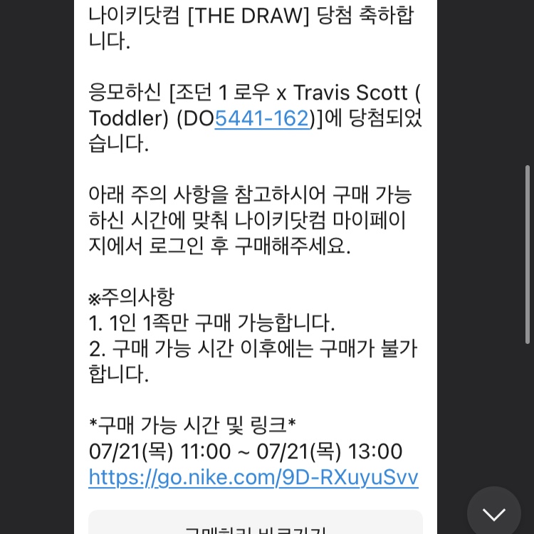(TD) Jordan 1 x Travis Scott Retro Low OG SP Sail and Ridgerock 착용 스타일