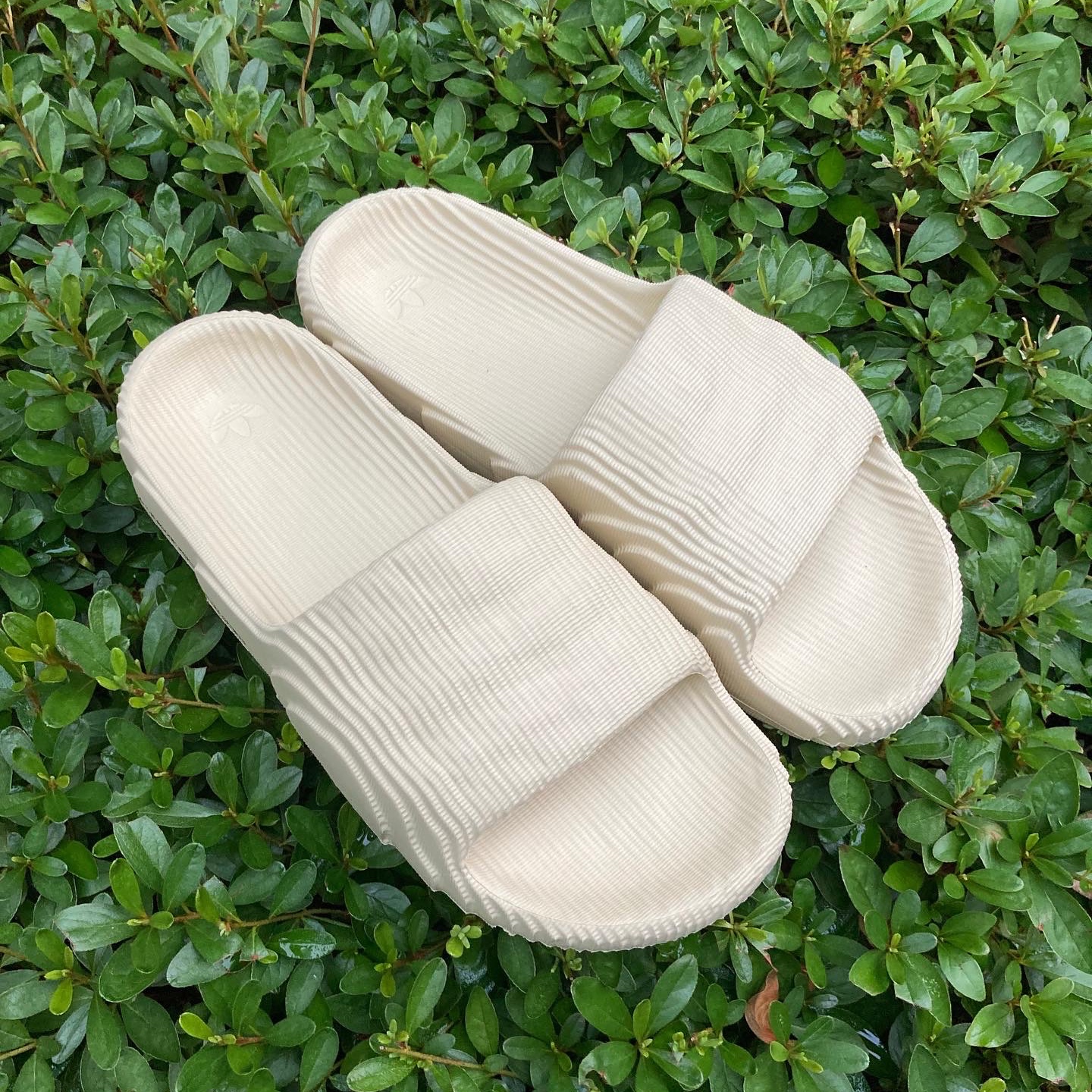 Adidas Adilette 22 Desert Sand 착용 스타일 - 5