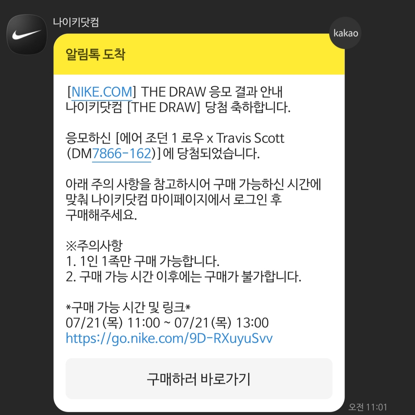 Jordan 1 x Travis Scott Retro Low OG SP Sail and Ridgerock 착용 스타일