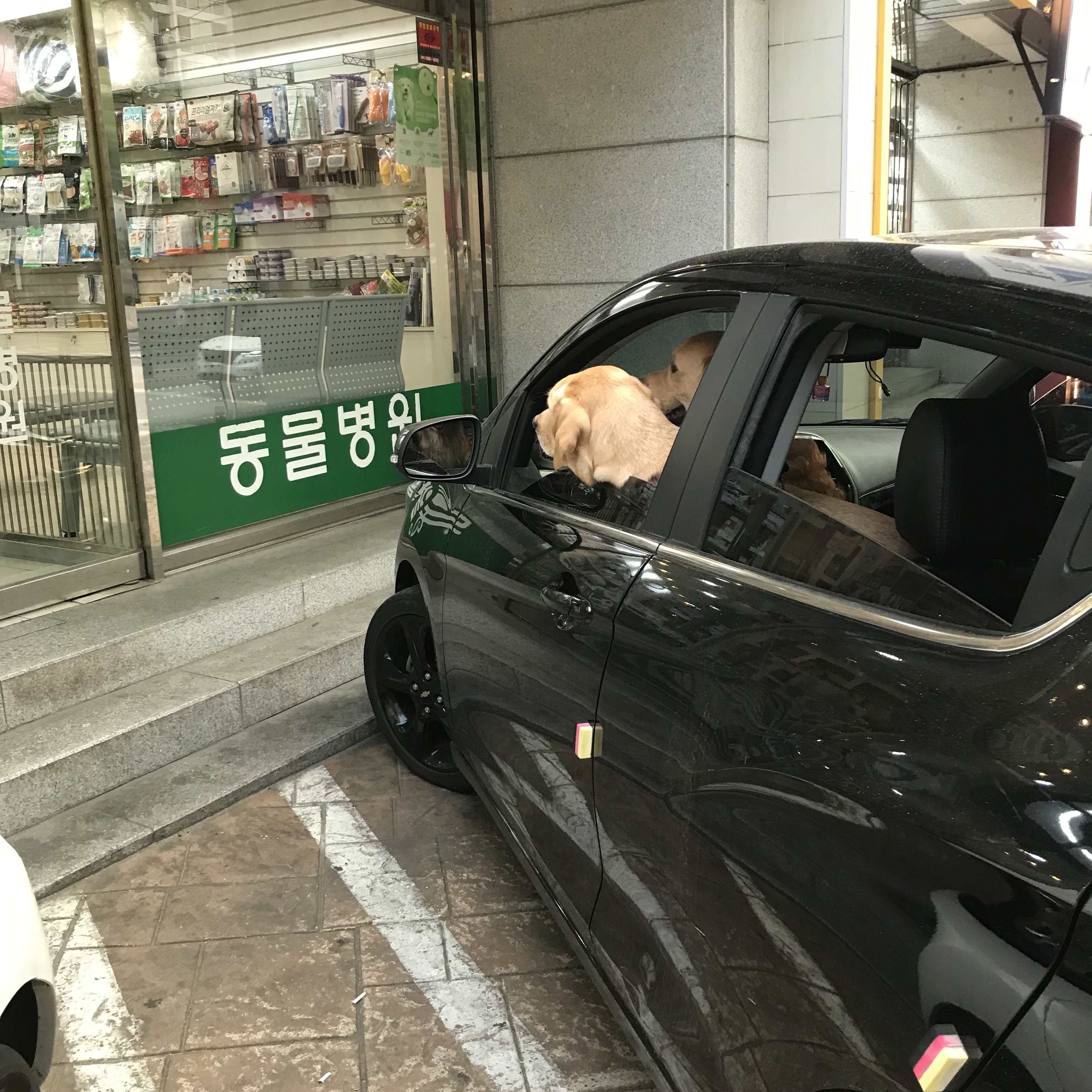 KREAM 스타일 - 2