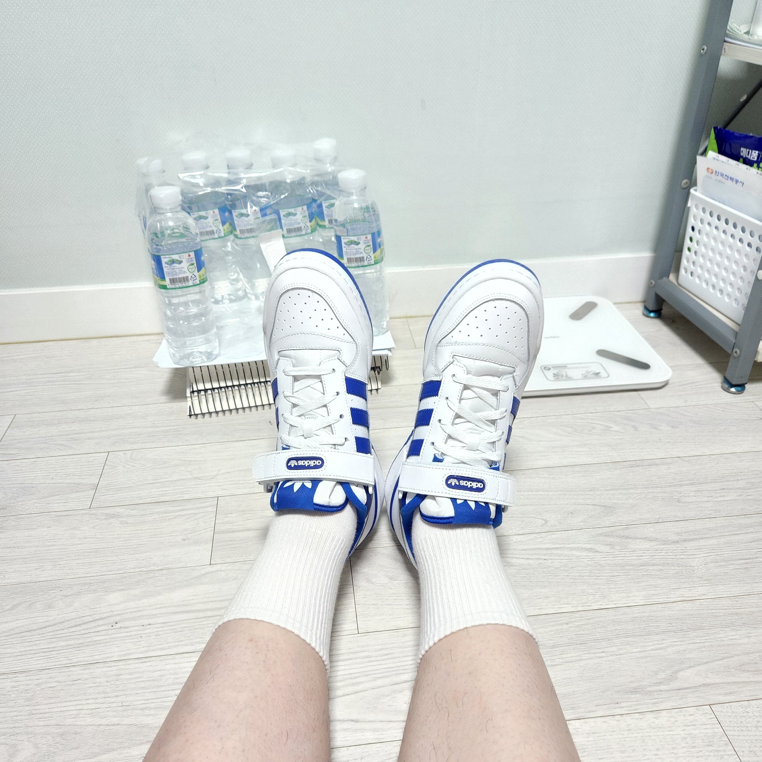 Adidas Forum Low White Royal Blue 착용 스타일 - 2