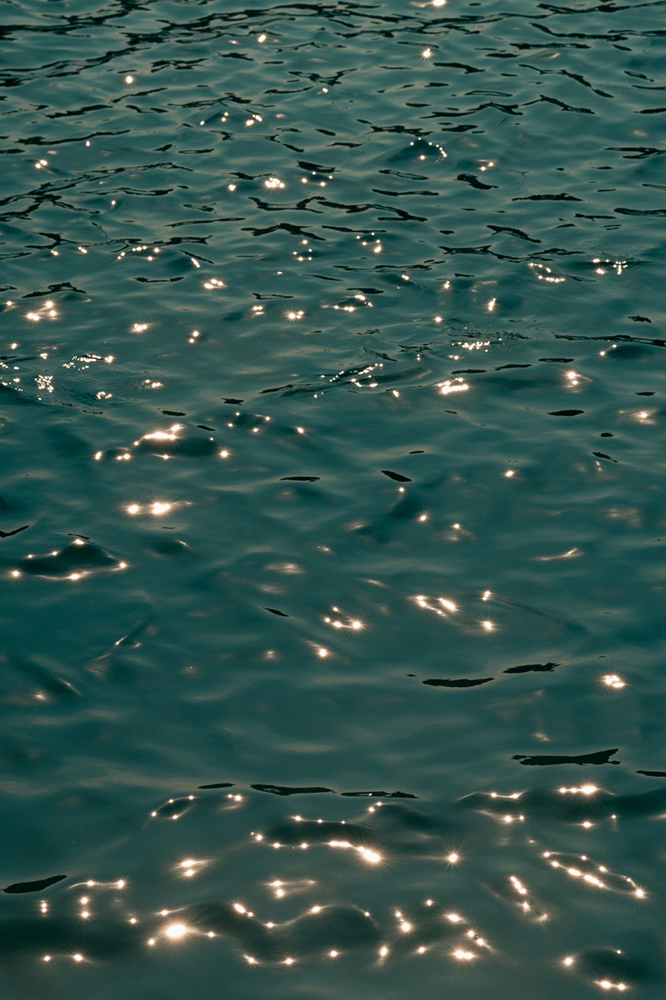 관심 유저 프로필 이미지