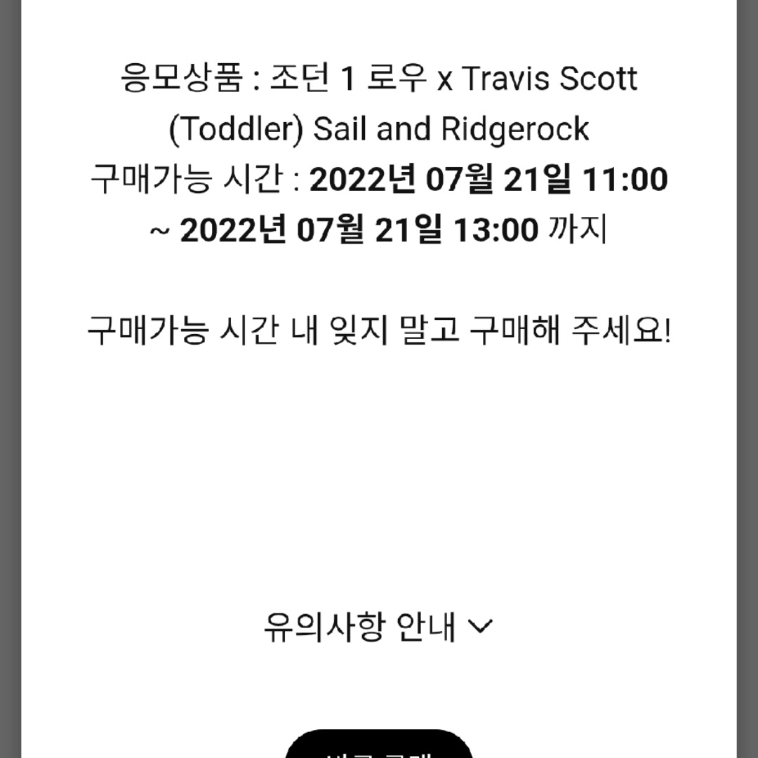(TD) Jordan 1 x Travis Scott Retro Low OG SP Sail and Ridgerock 착용 스타일
