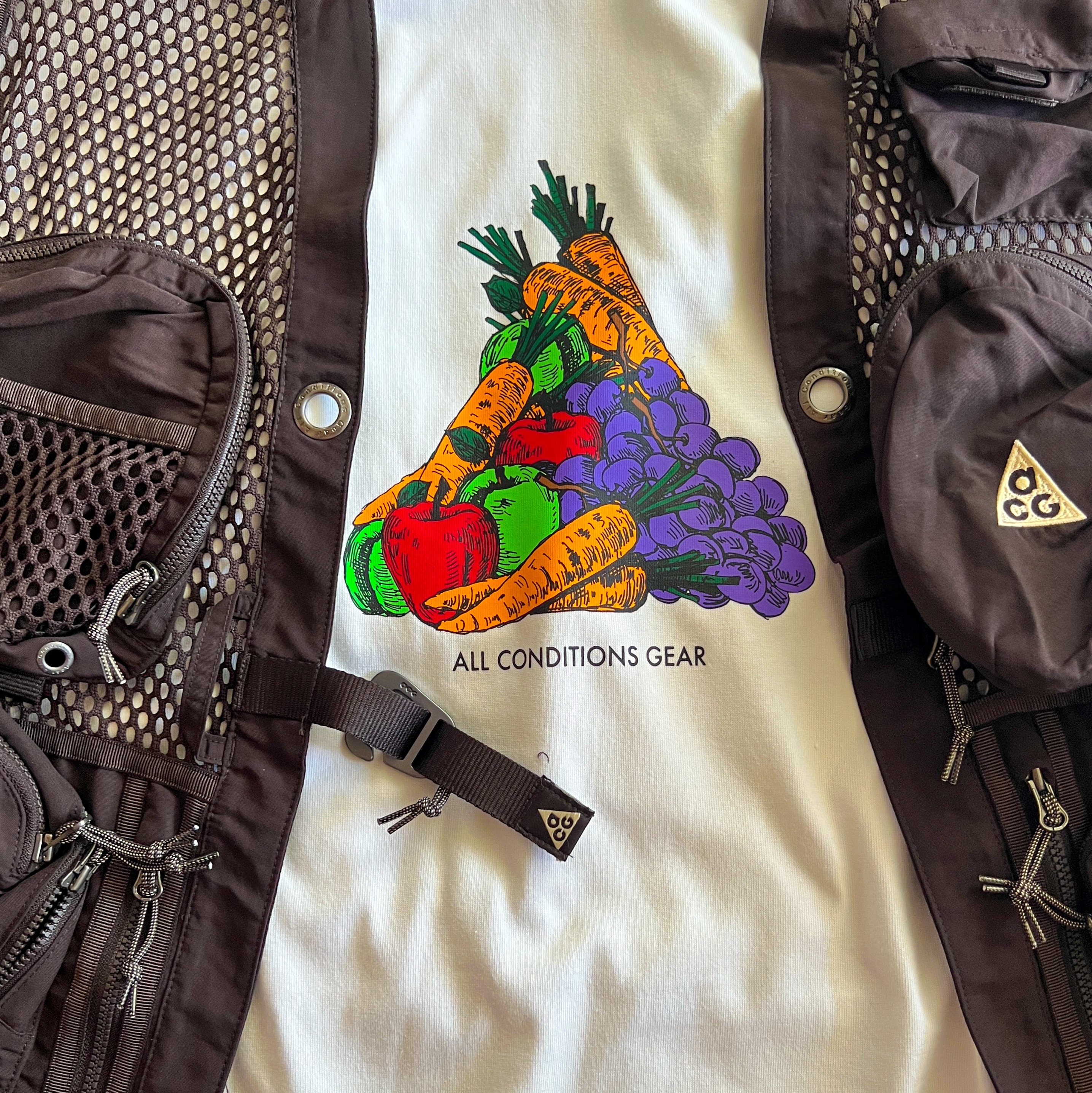 Nike ACG Buttles Vest Velvet Brown - Asia, Nike ACG Fruit and Veggies T-Shirt - Asia 착용 스타일