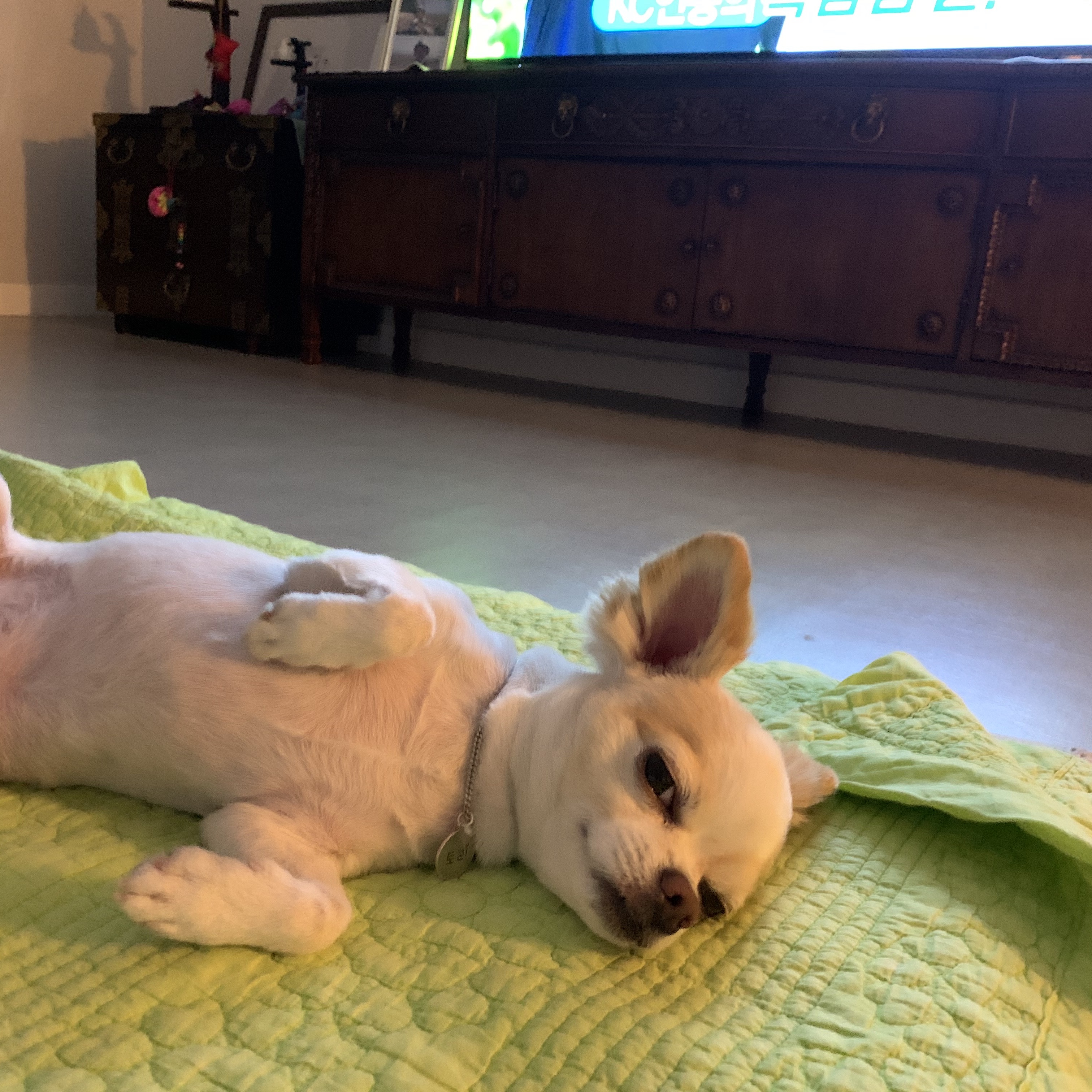 sonwonchul78님의 스타일