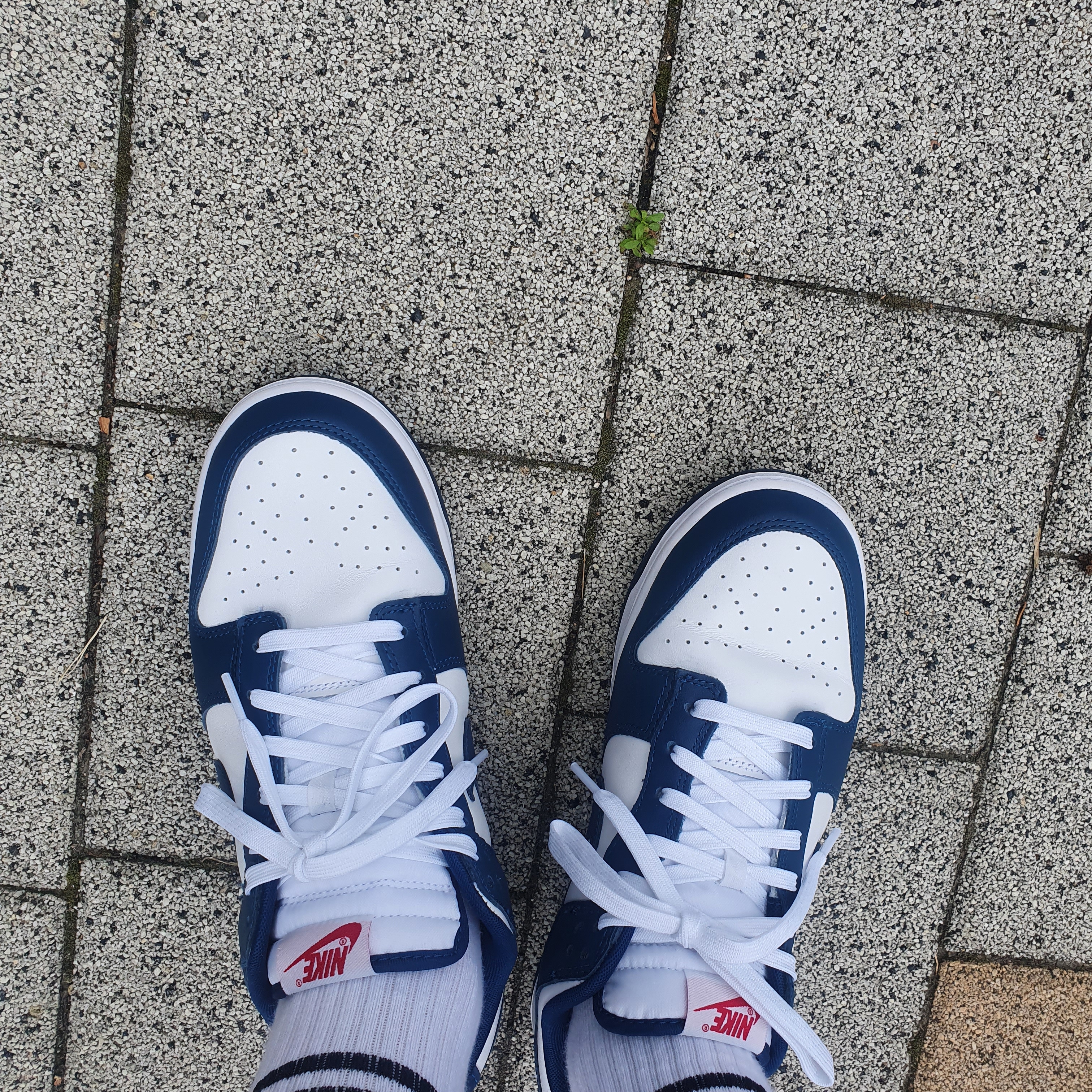 Nike Dunk Low Retro Valerian Blue 착용 스타일