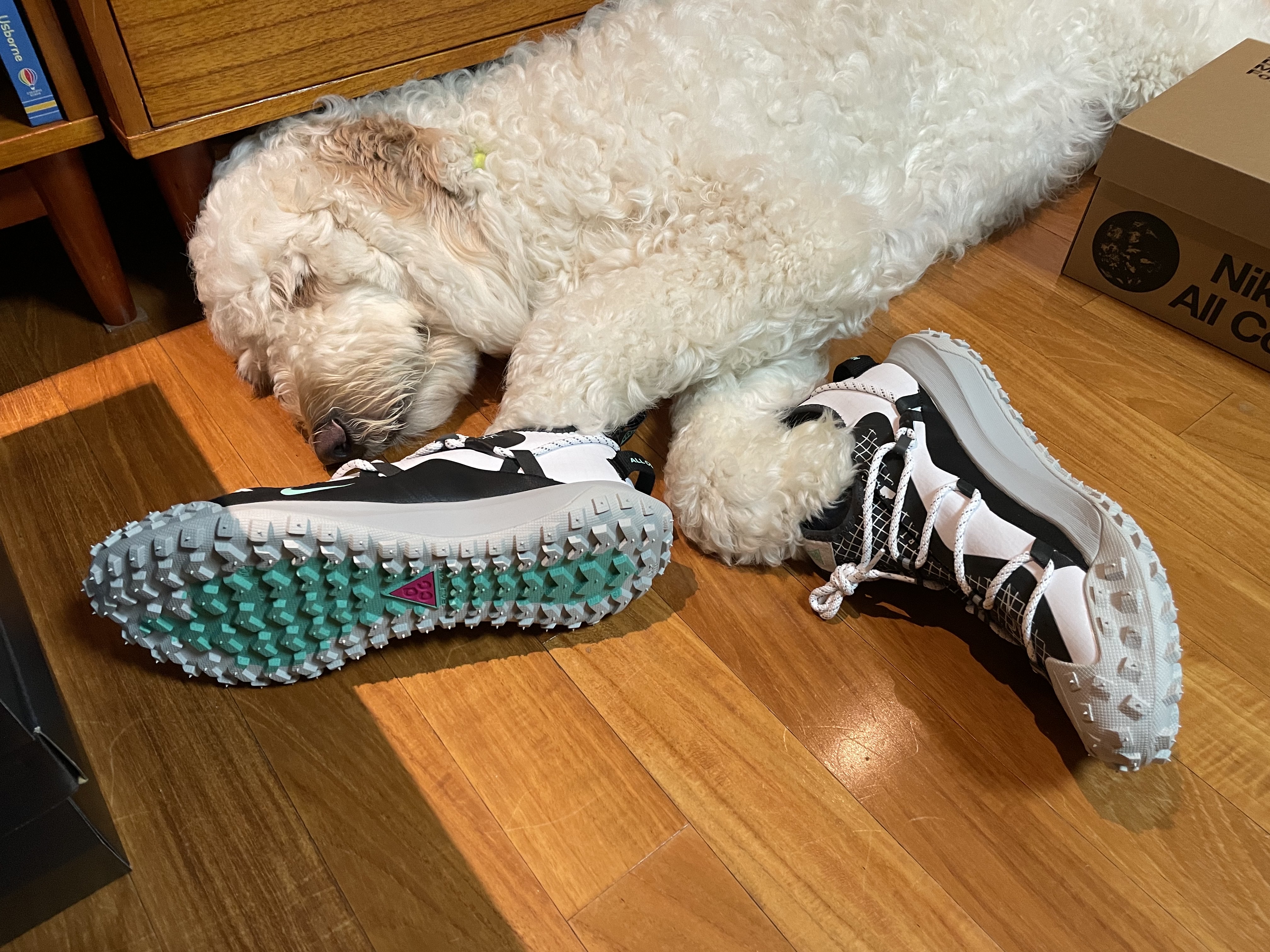 Nike ACG Mountain Fly Low SE White and Black 착용 스타일 - 1