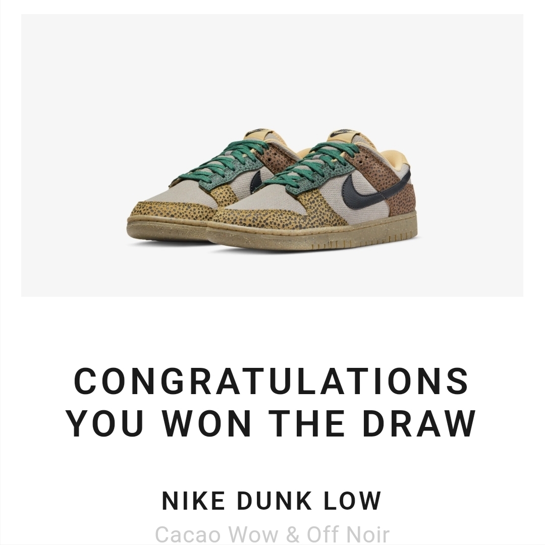 NIke Dunk Low Safari 착용 스타일