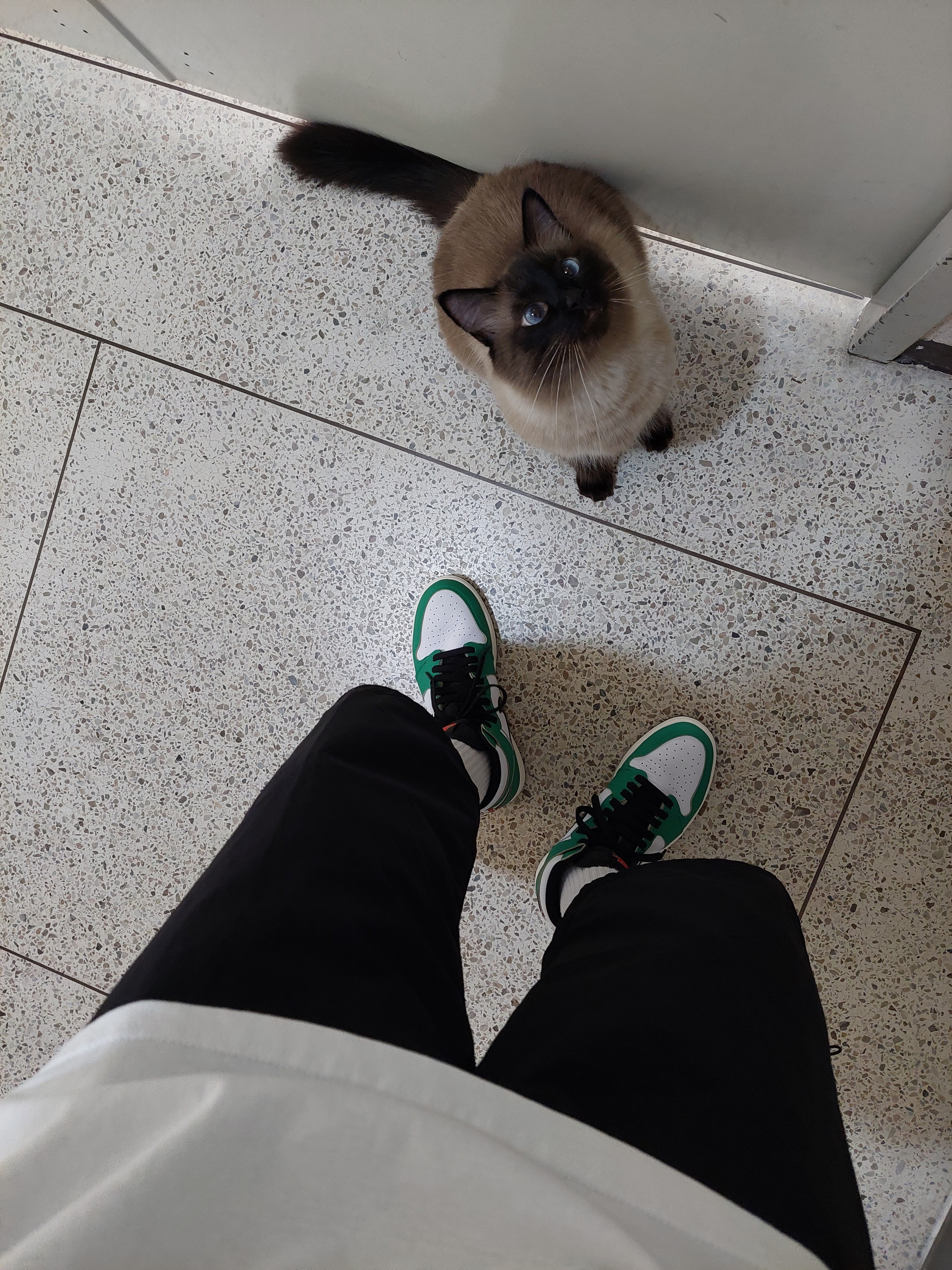 (W) Jordan 1 Retro High OG Lucky Green 착용 스타일 - 2