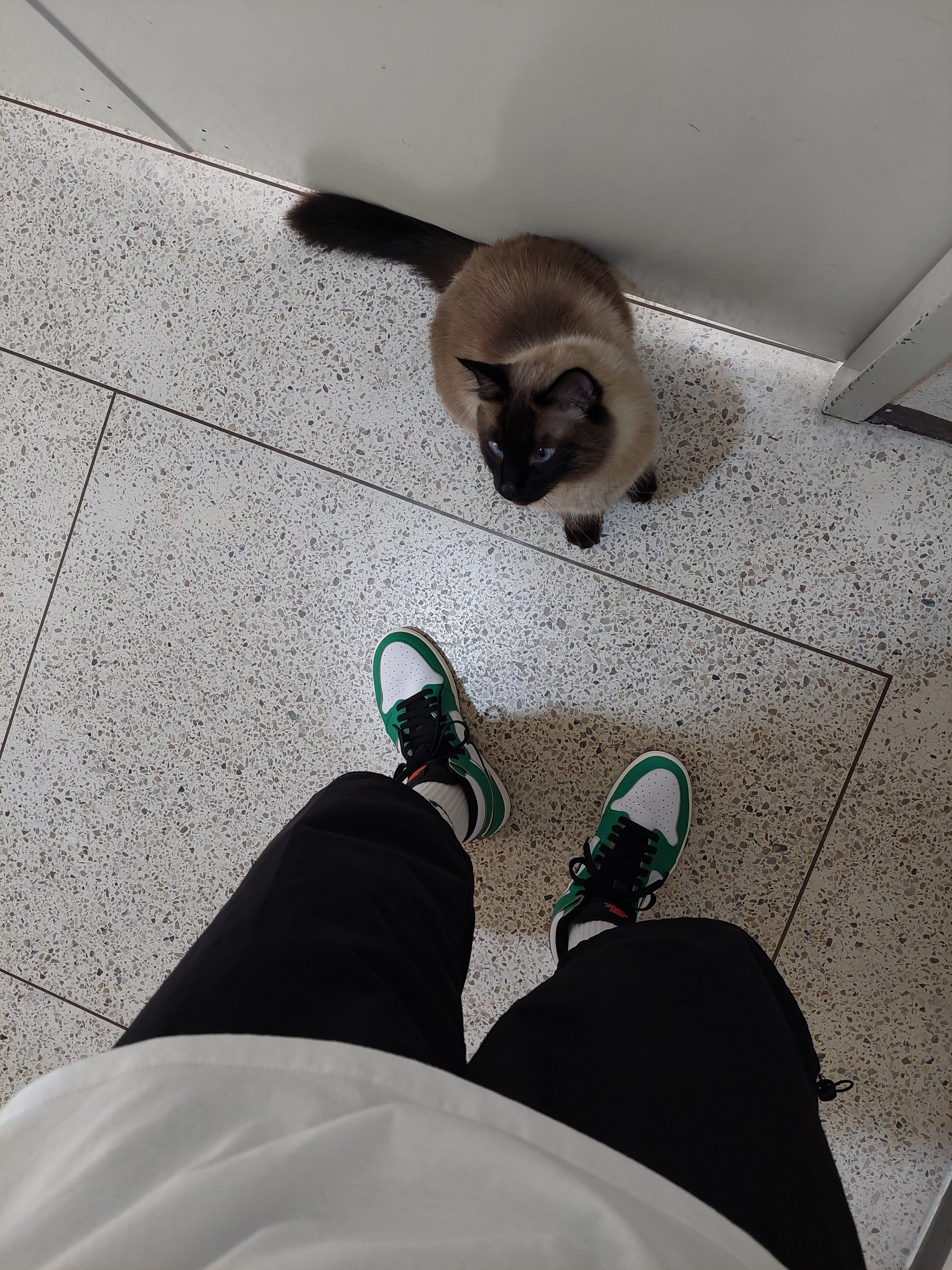 (W) Jordan 1 Retro High OG Lucky Green 착용 스타일 - 1
