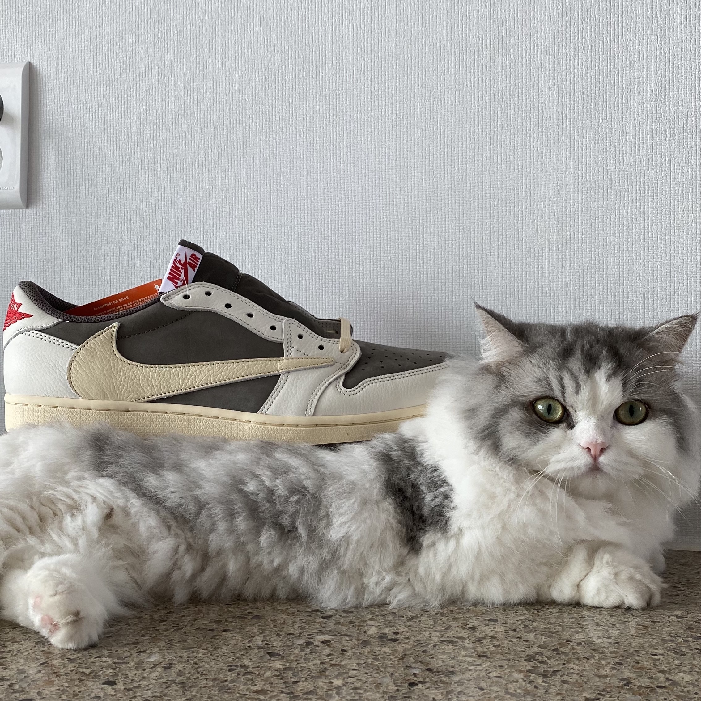 Jordan 1 x Travis Scott Retro Low OG SP Sail and Ridgerock 착용 스타일