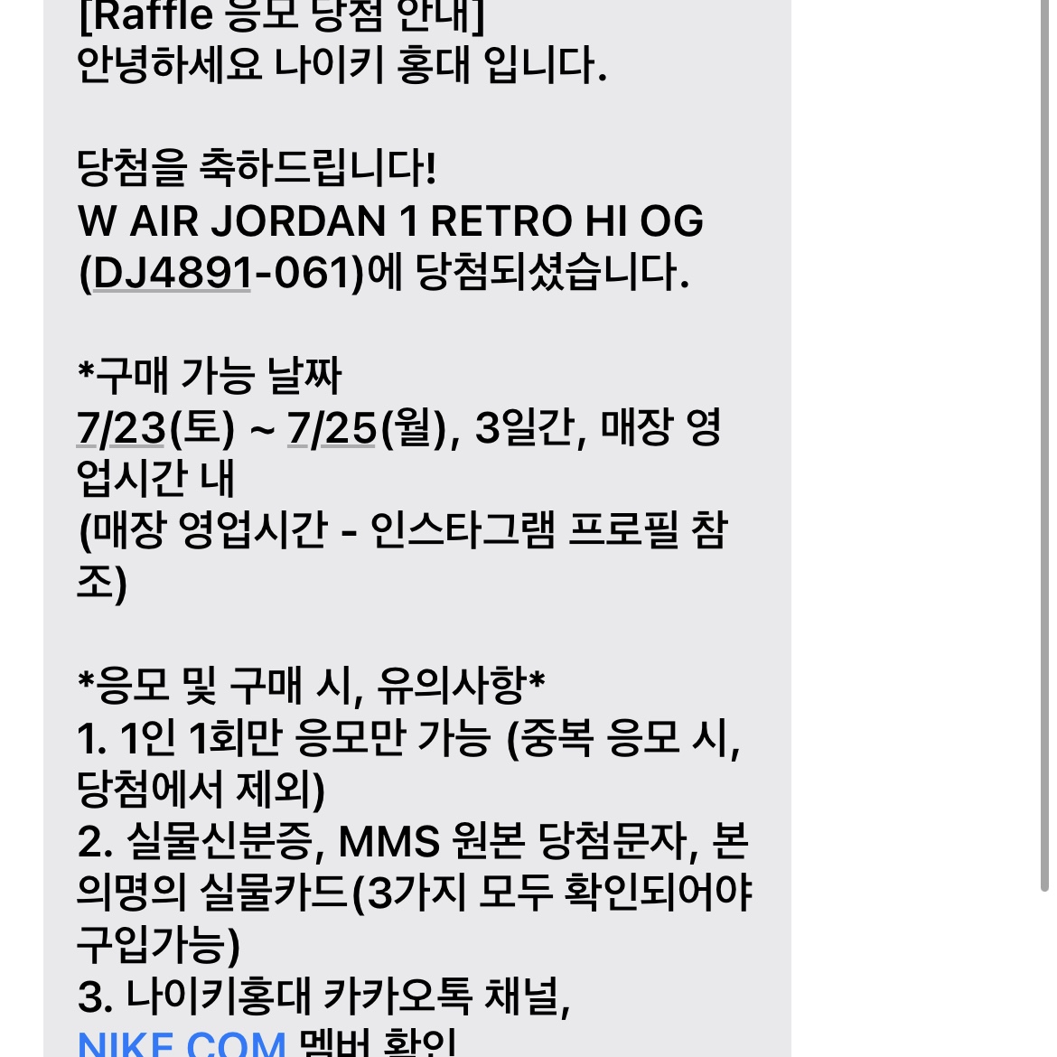 (W) Jordan 1 Retro High OG Varsity Red 착용 스타일