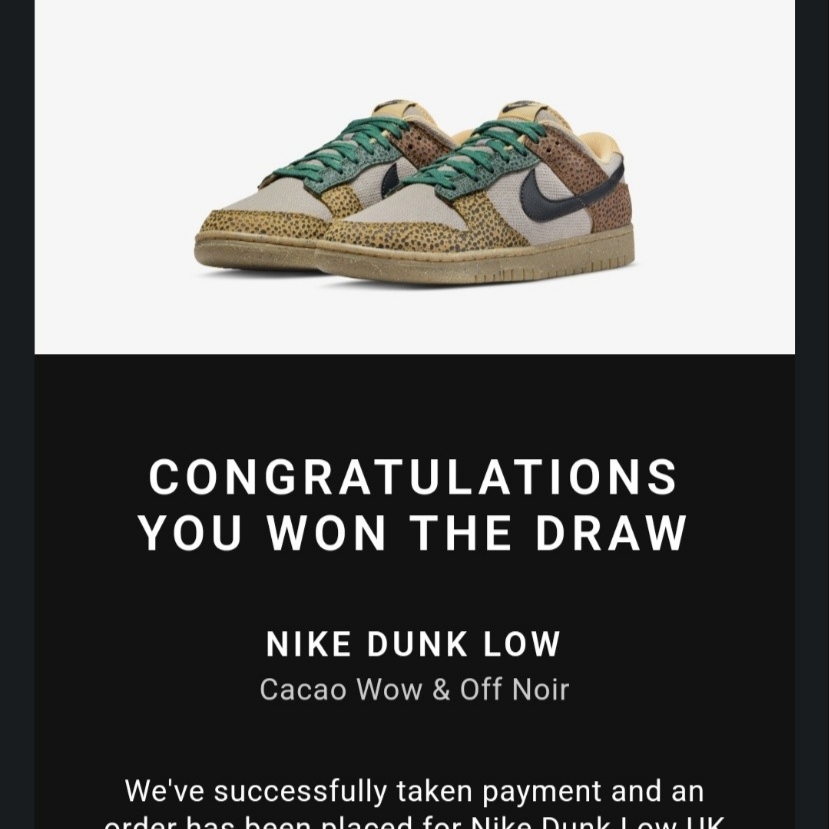 NIke Dunk Low Safari 착용 스타일