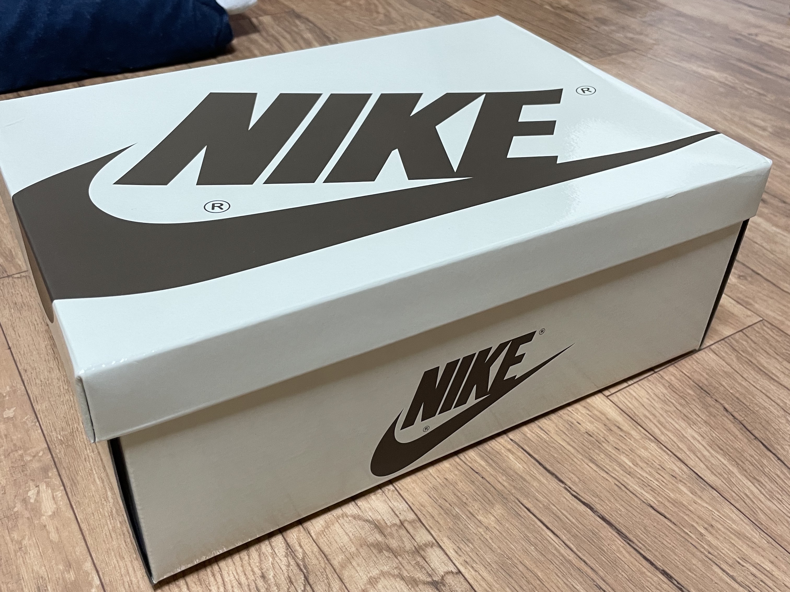 Jordan 1 x Travis Scott Retro Low OG SP Sail and Ridgerock 착용 스타일 - 1