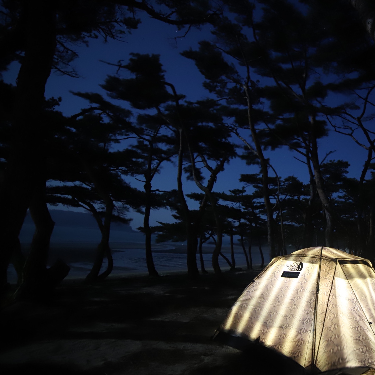 Supreme x The North Face Snakeskin Taped Seam Stormbreak 3 Tent Black - 18SS 착용 스타일