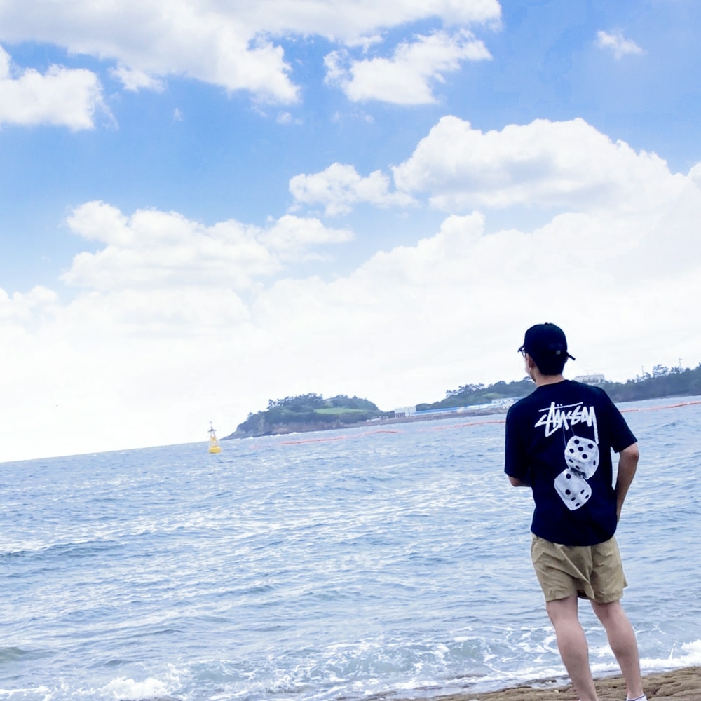 Stussy Fuzzy Dice T-Shirt Black 착용 스타일