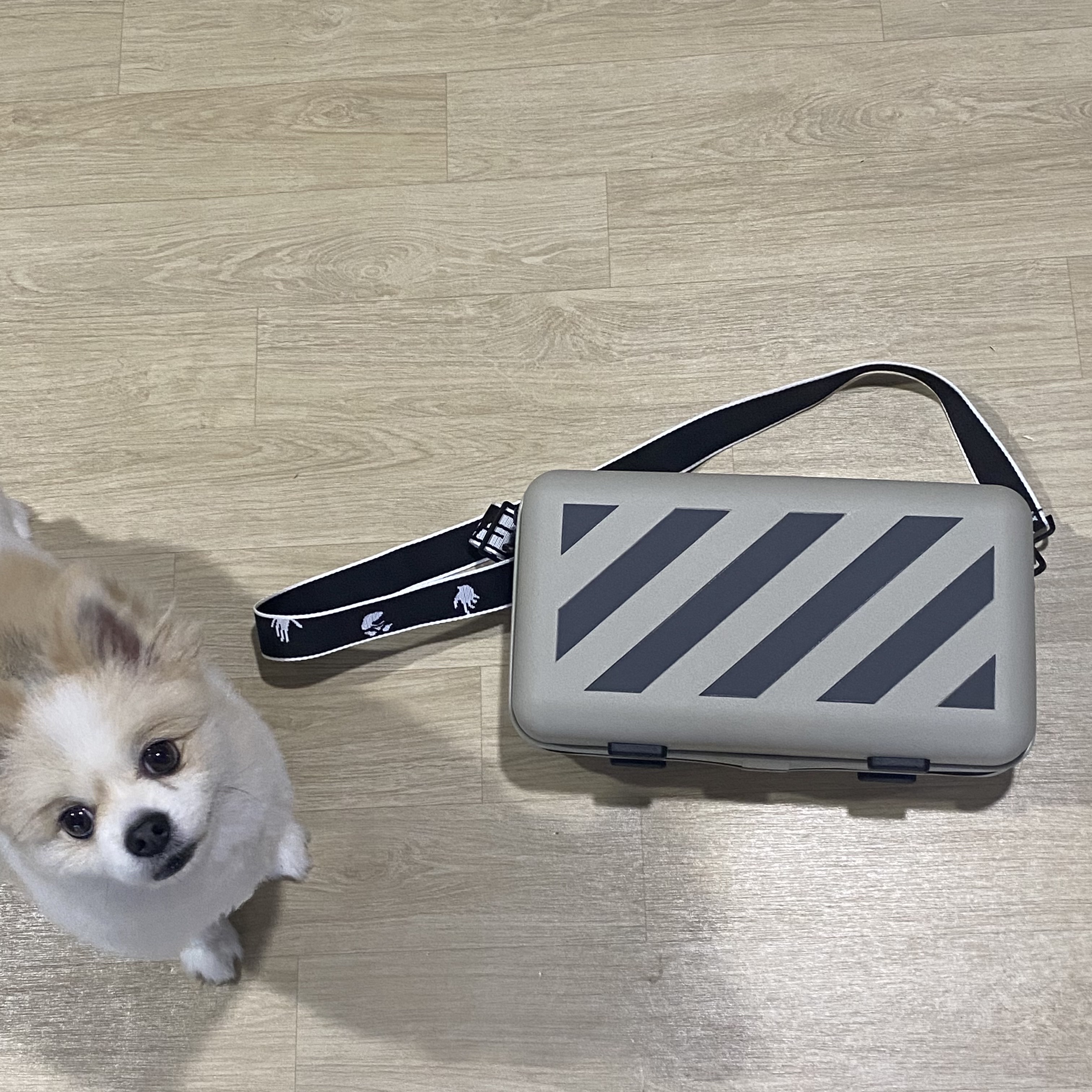 Off-White x Amore Pacific Protection Box (Without Cosmetics) 착용 스타일