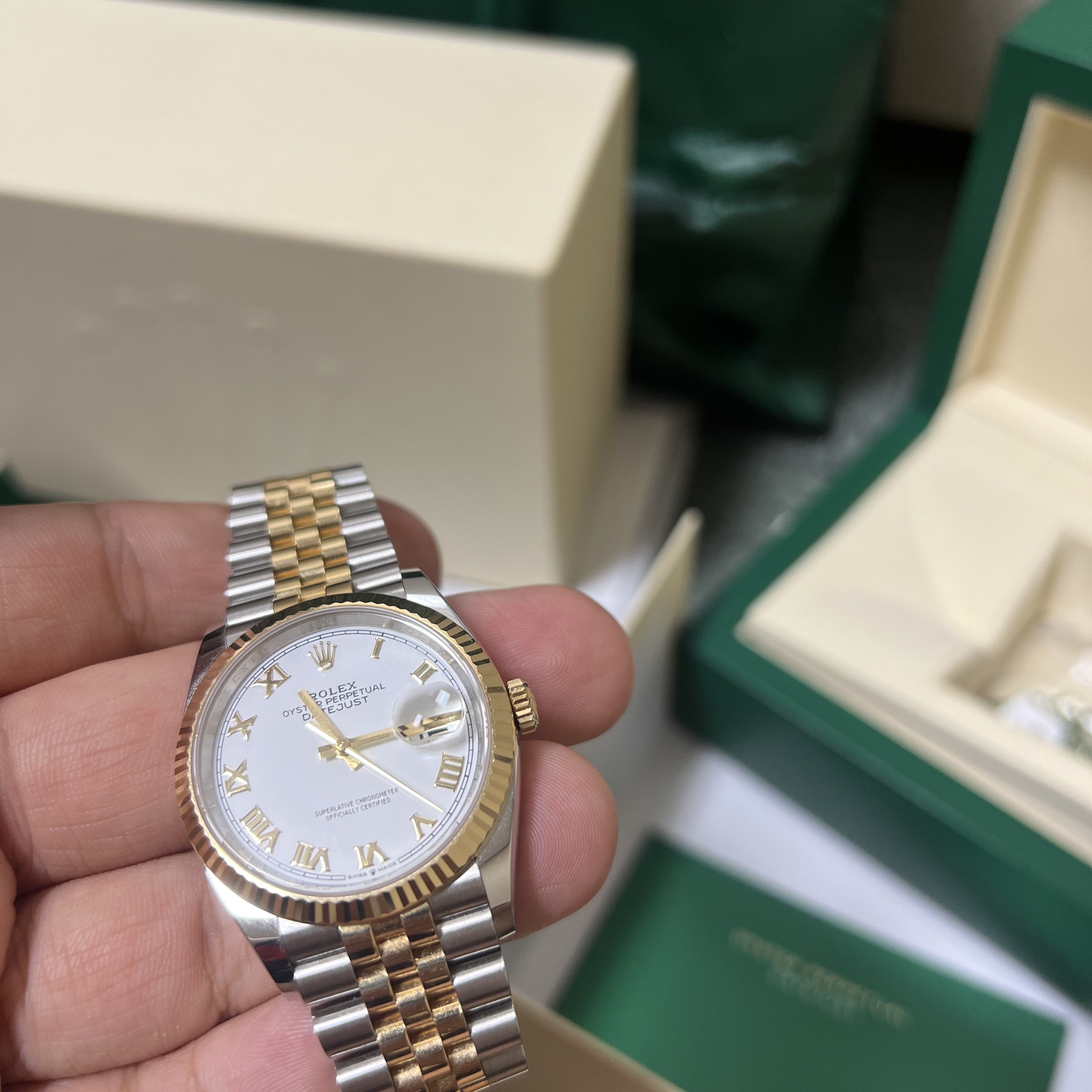 Rolex Datejust 36mm 126233 White Roman Jubilee 착용 스타일