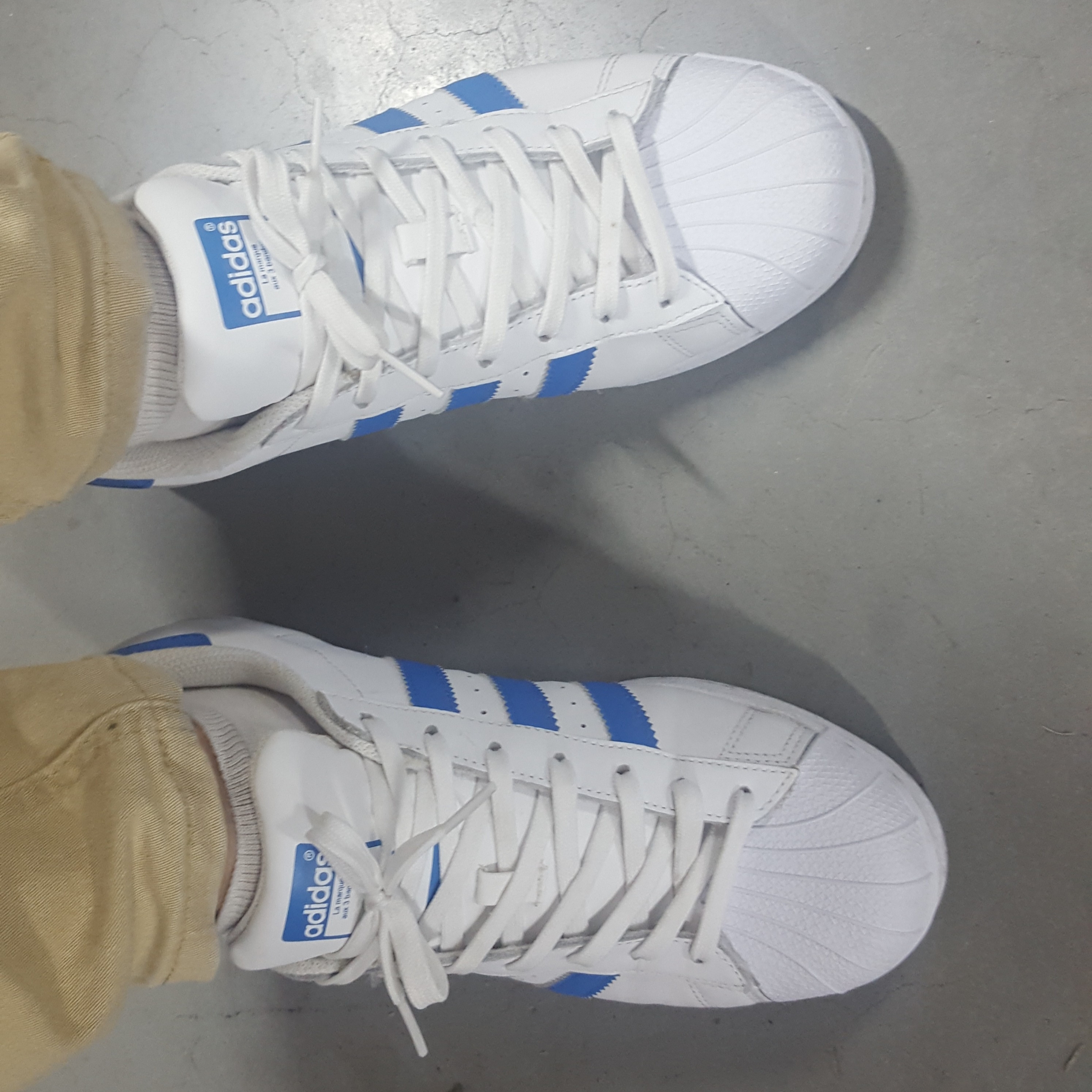 Adidas Superstar White Bluebird 착용 스타일