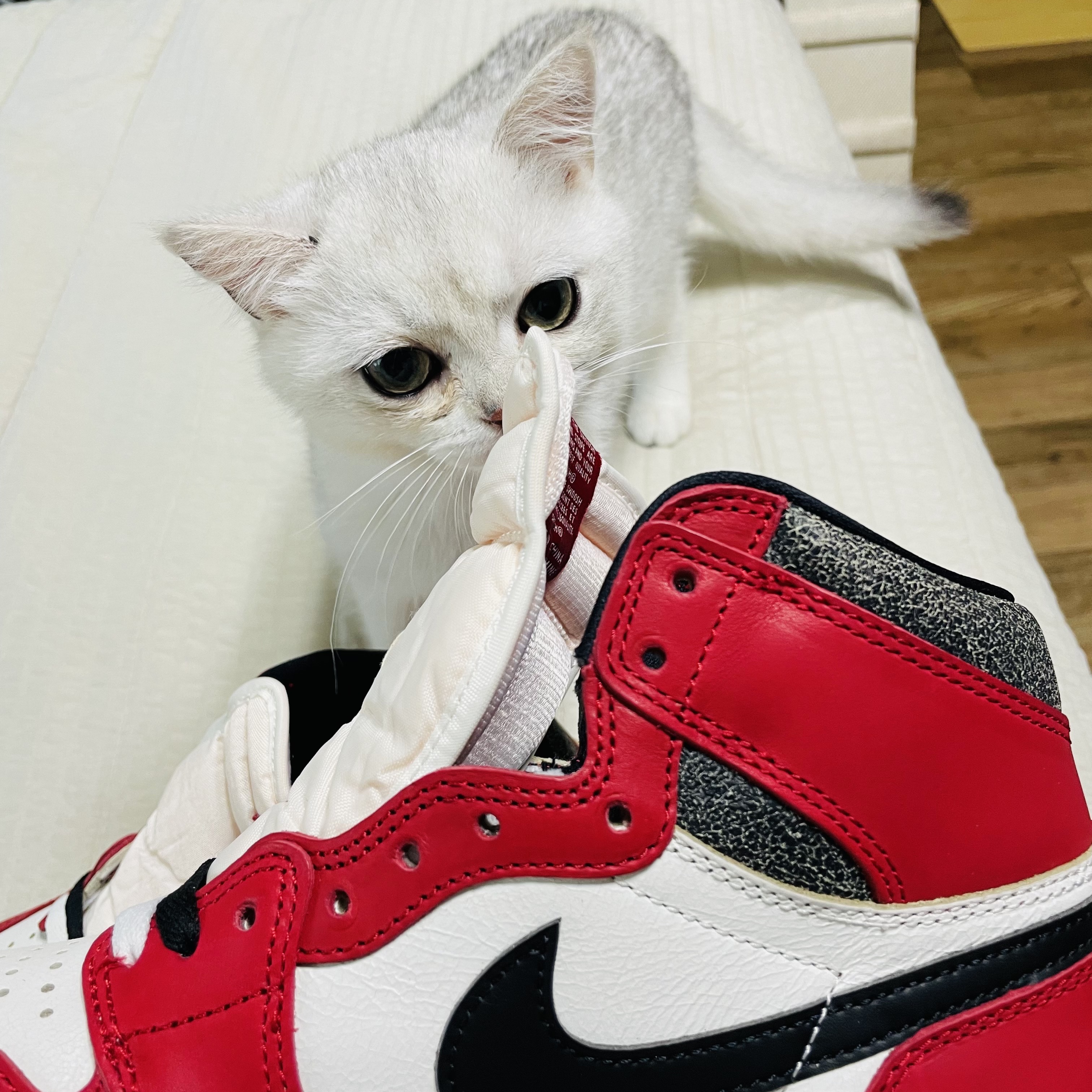 Jordan 1 Retro High OG Chicago 2015, Jordan 1 Retro High OG Chicago 2022 착용 스타일 - 4