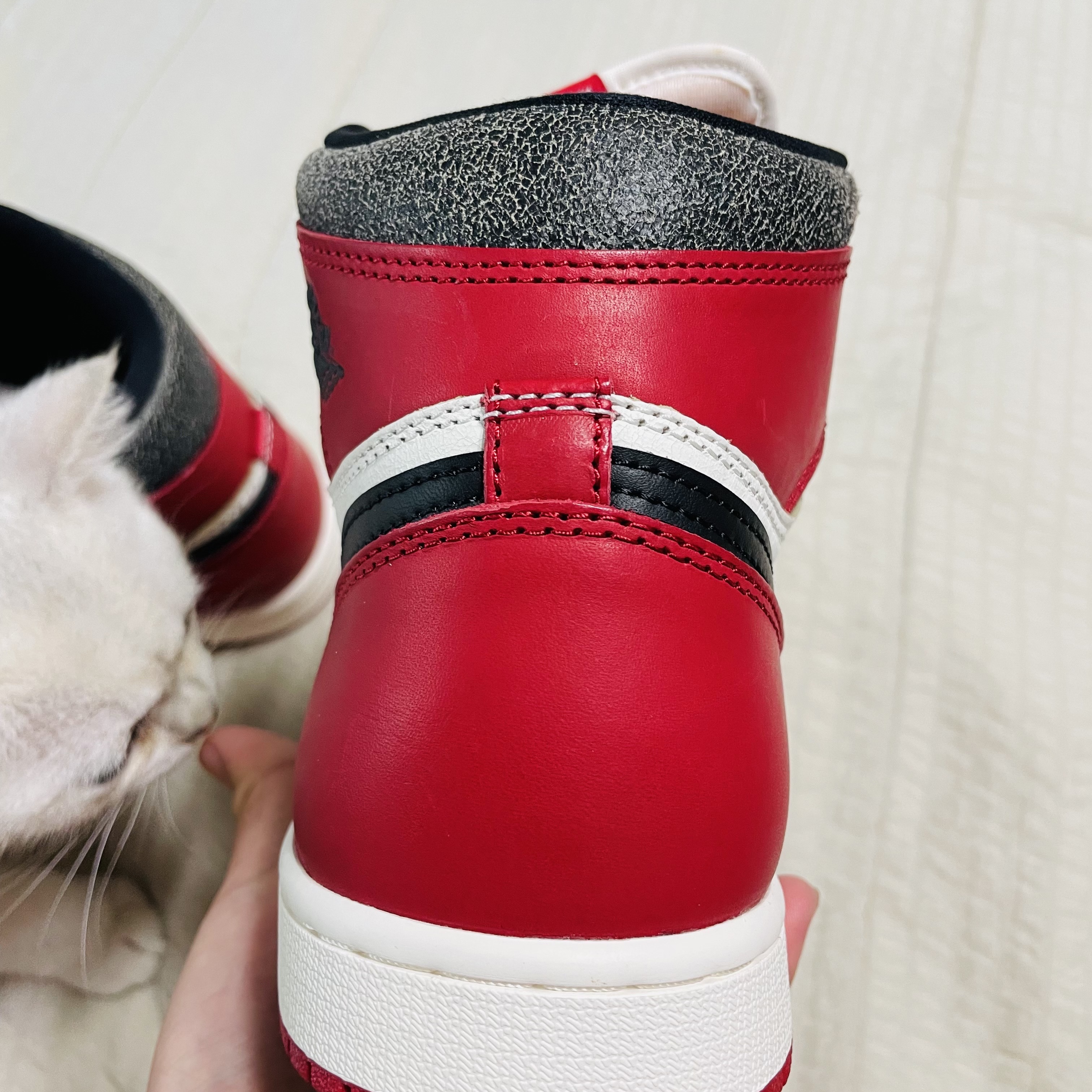 Jordan 1 Retro High OG Chicago 2015, Jordan 1 Retro High OG Chicago 2022 착용 스타일 - 2