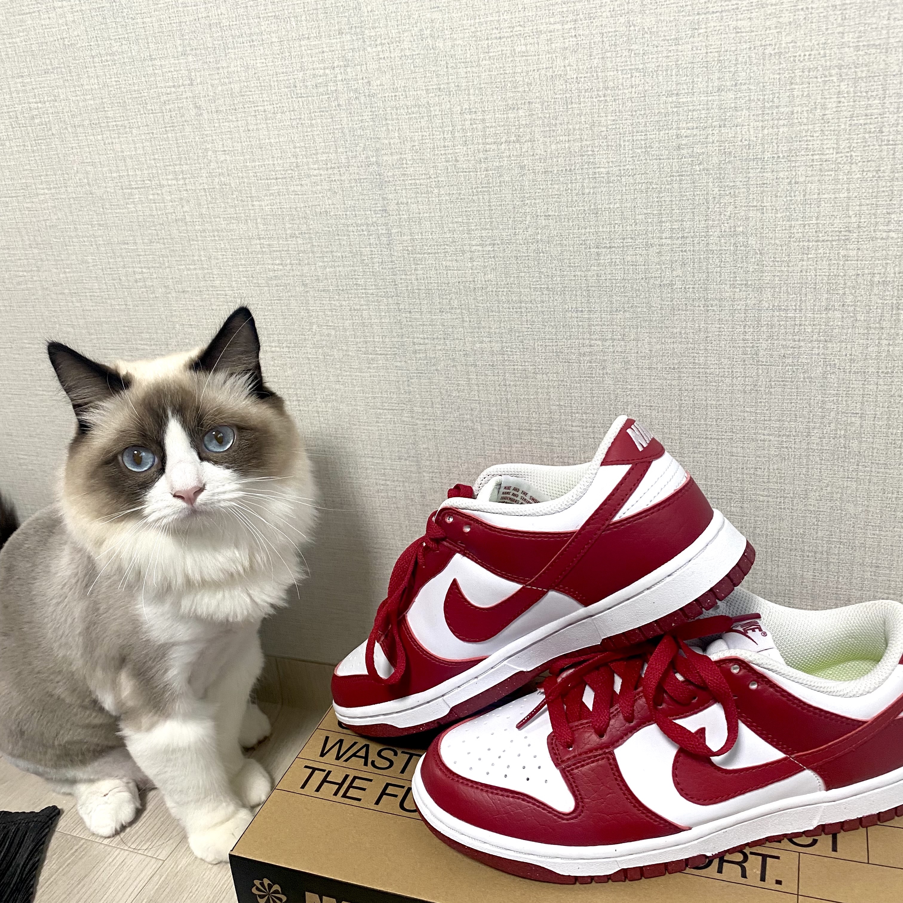 (W) Nike Dunk Low Next Nature Gym Red 착용 스타일 - 1
