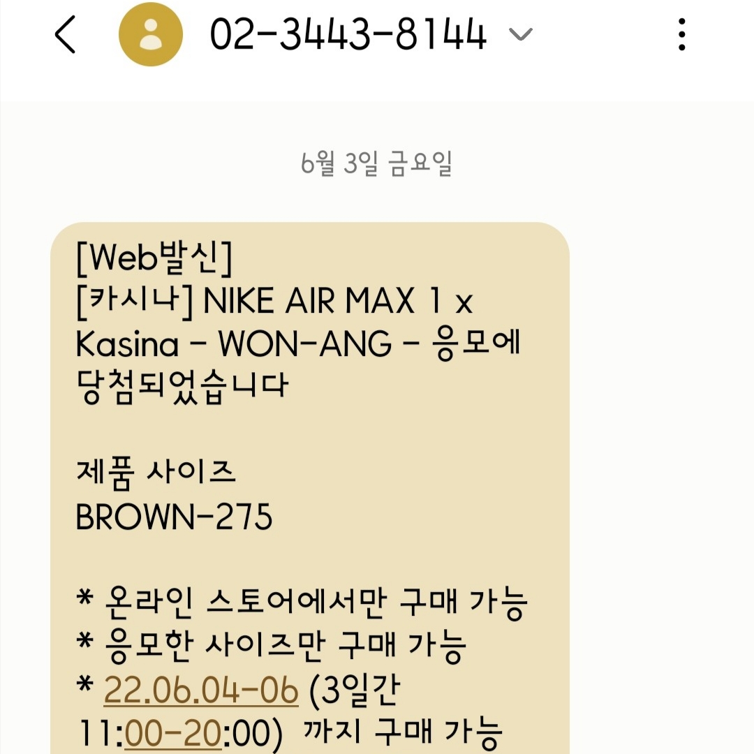 Nike x Kasina Air Max 1 SP Won-Ang Orange 착용 스타일 - 1