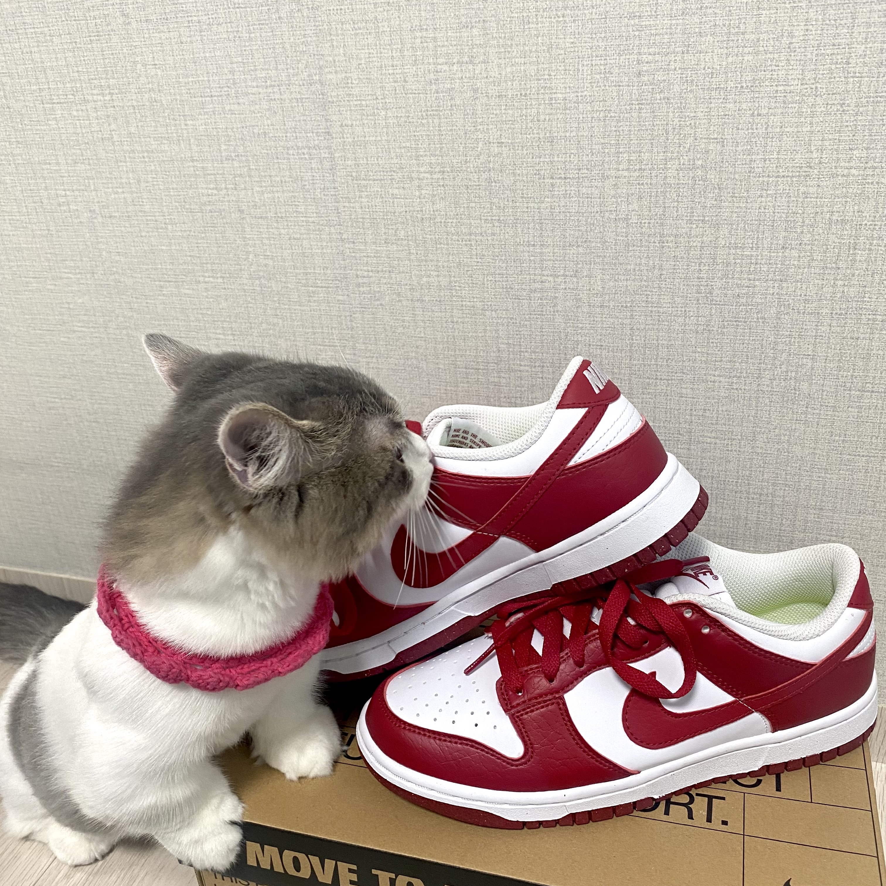 (W) Nike Dunk Low Next Nature Gym Red 착용 스타일 - 2