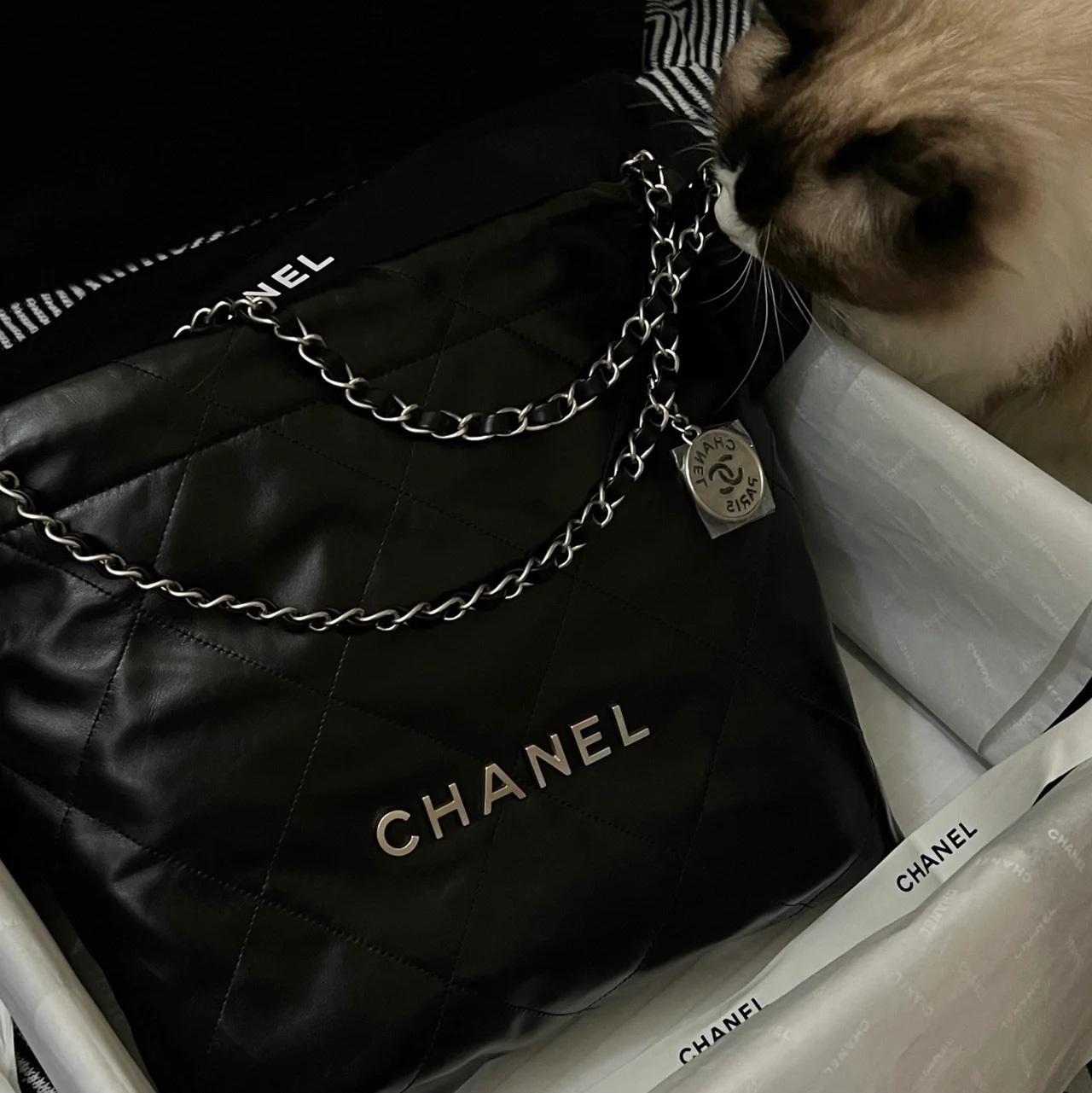 Chanel 22 Medium Handbag Calfskin & Silver Black 착용 스타일 - 3