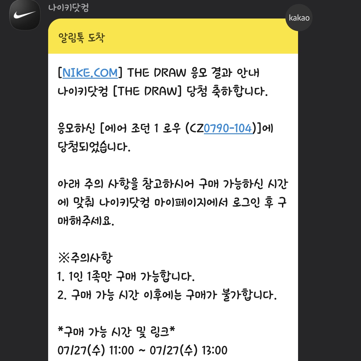 Jordan 1 Retro Low OG Black and Dark Powder Blue 착용 스타일