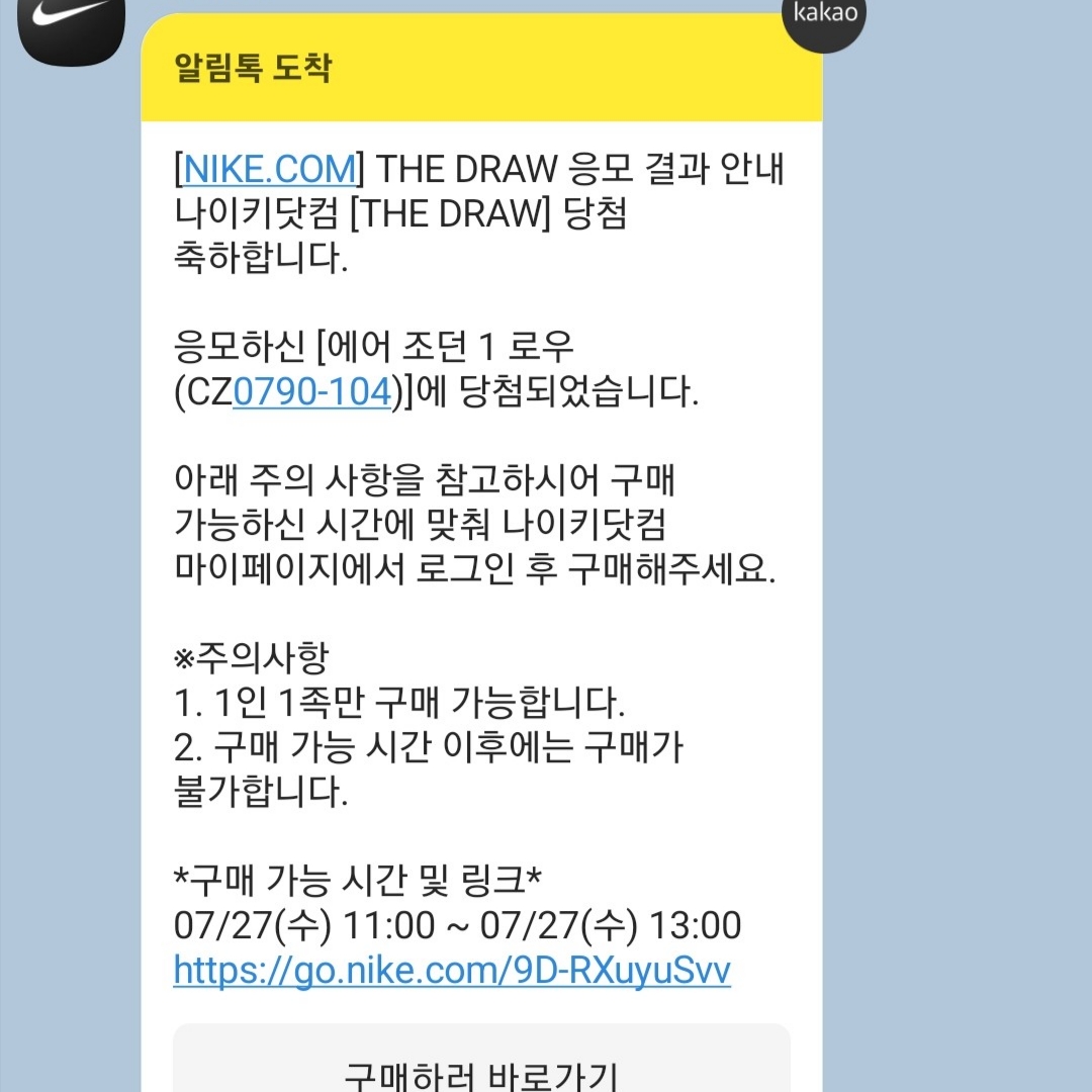 Jordan 1 Retro Low OG Black and Dark Powder Blue 착용 스타일