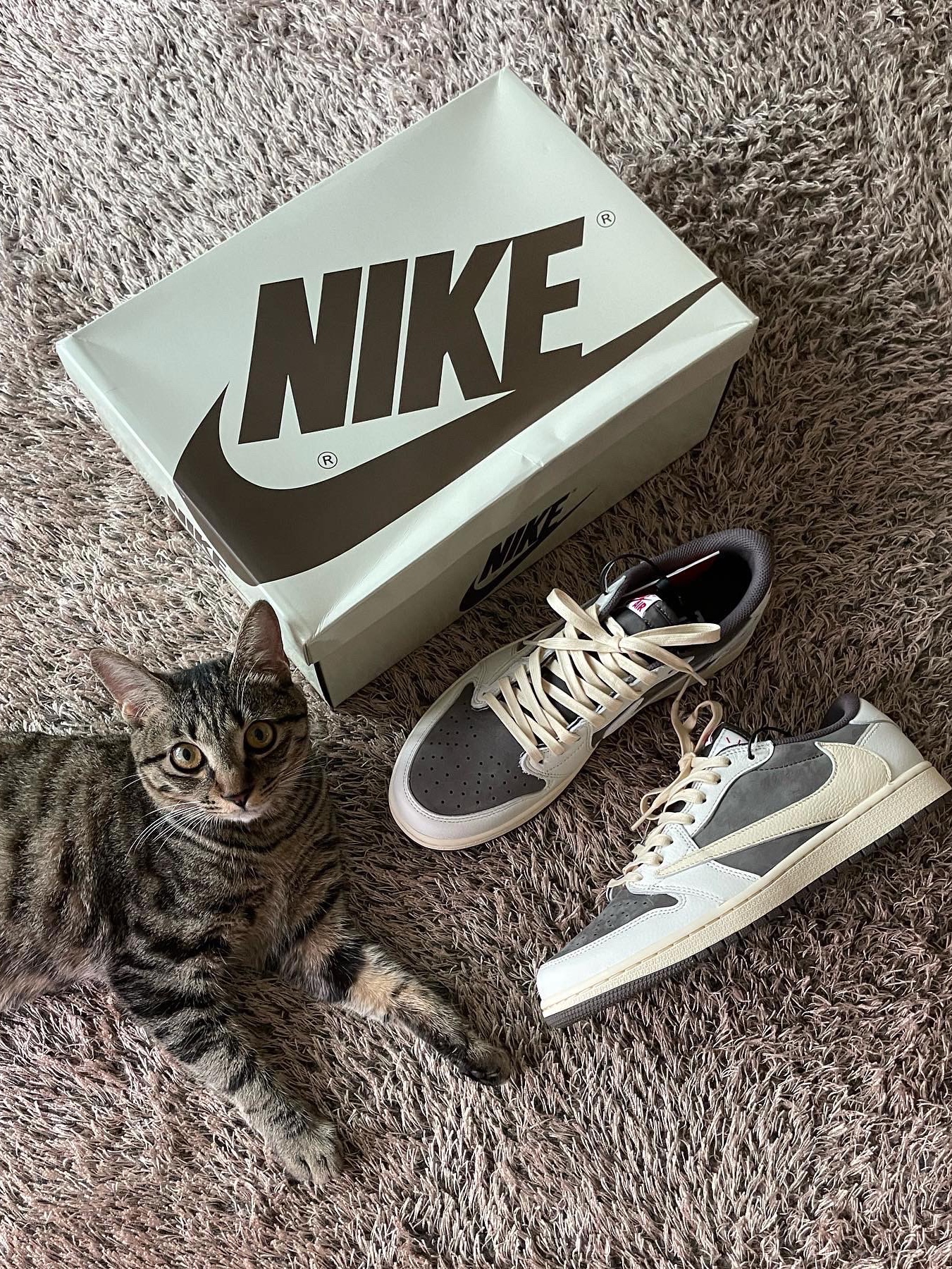 Jordan 1 x Travis Scott Retro Low OG SP Sail and Ridgerock 착용 스타일 - 1