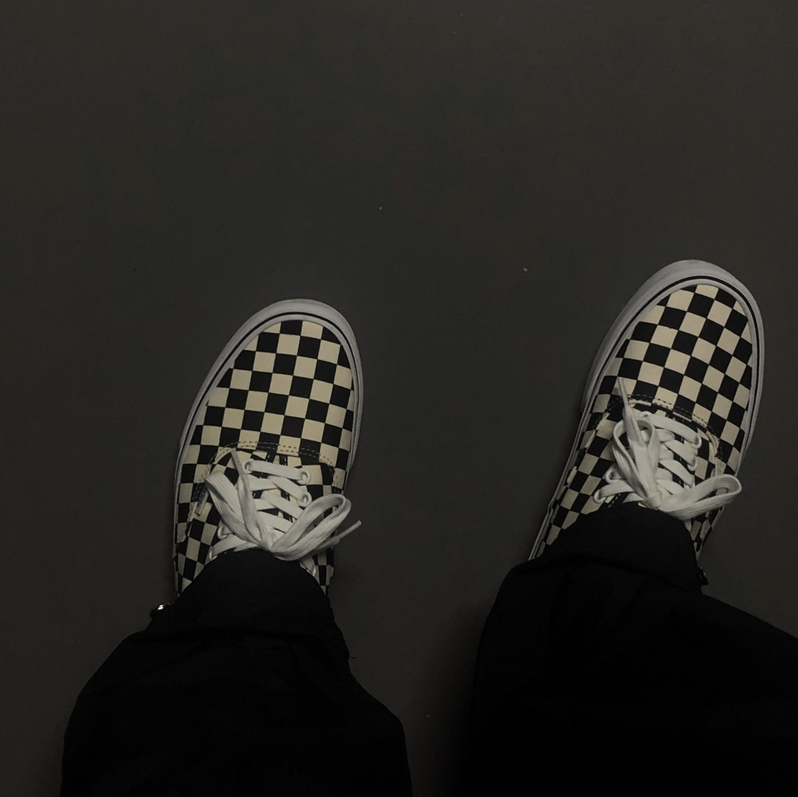Vans Authentic Golden Coast Checkerboard 착용 스타일