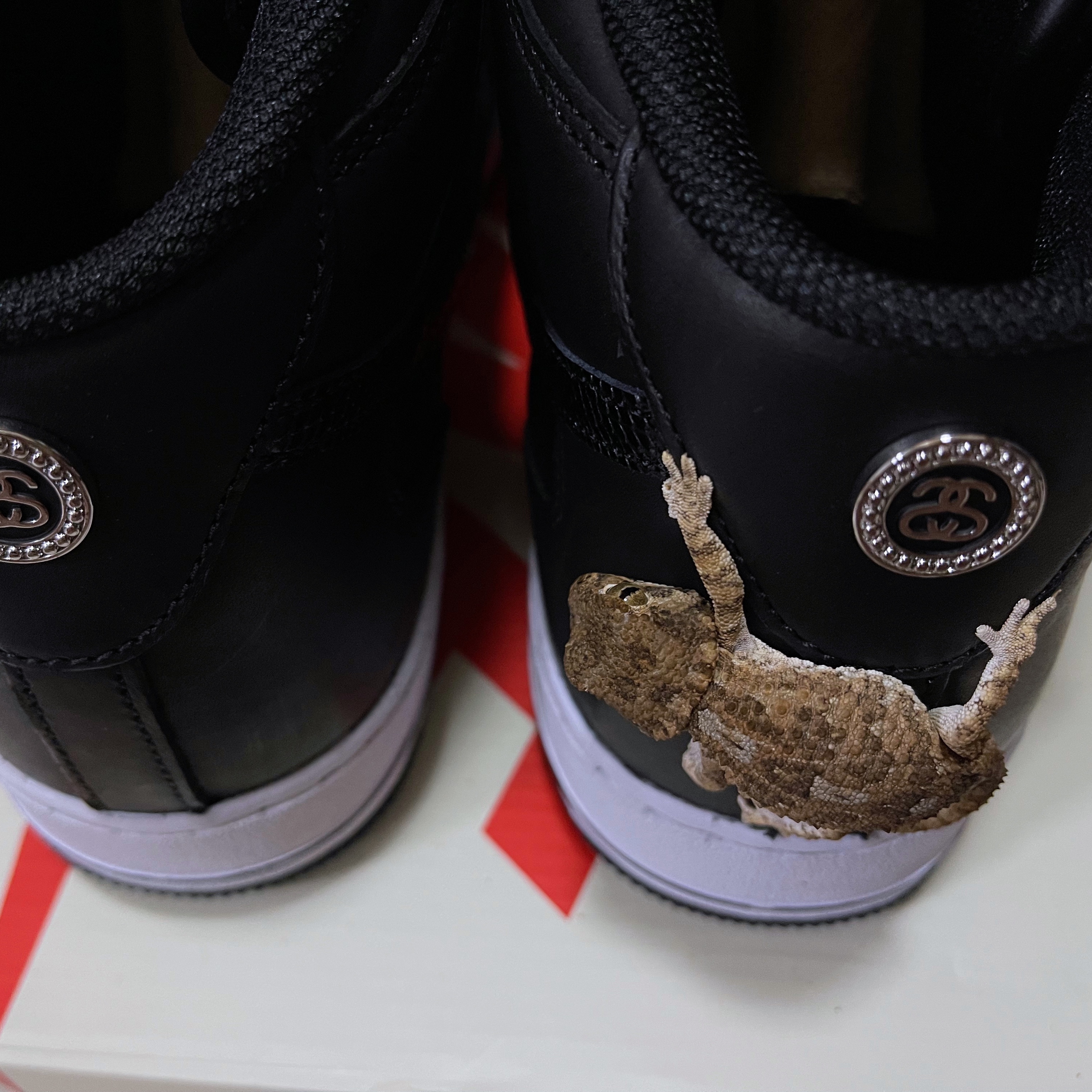 Nike x Stussy Air Force 1 '07 Mid SP Black 착용 스타일 - 2