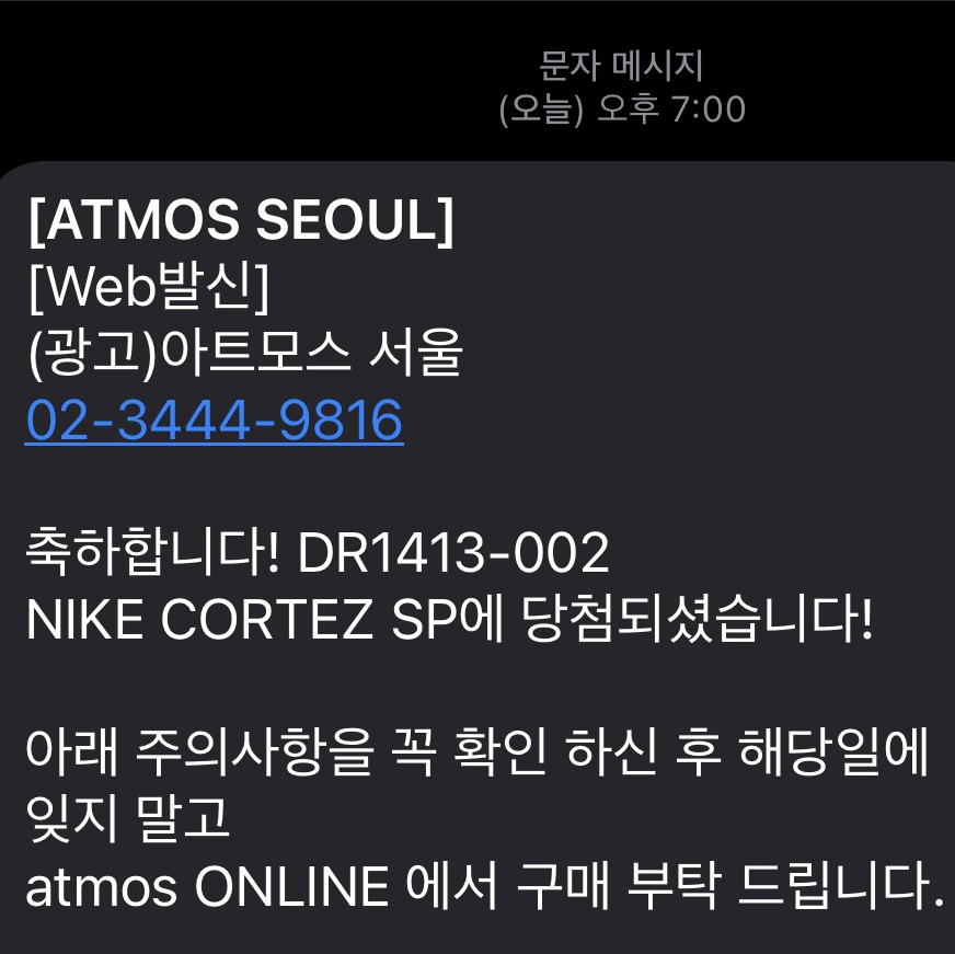 Nike x Union Cortez SP Light Smoke 착용 스타일