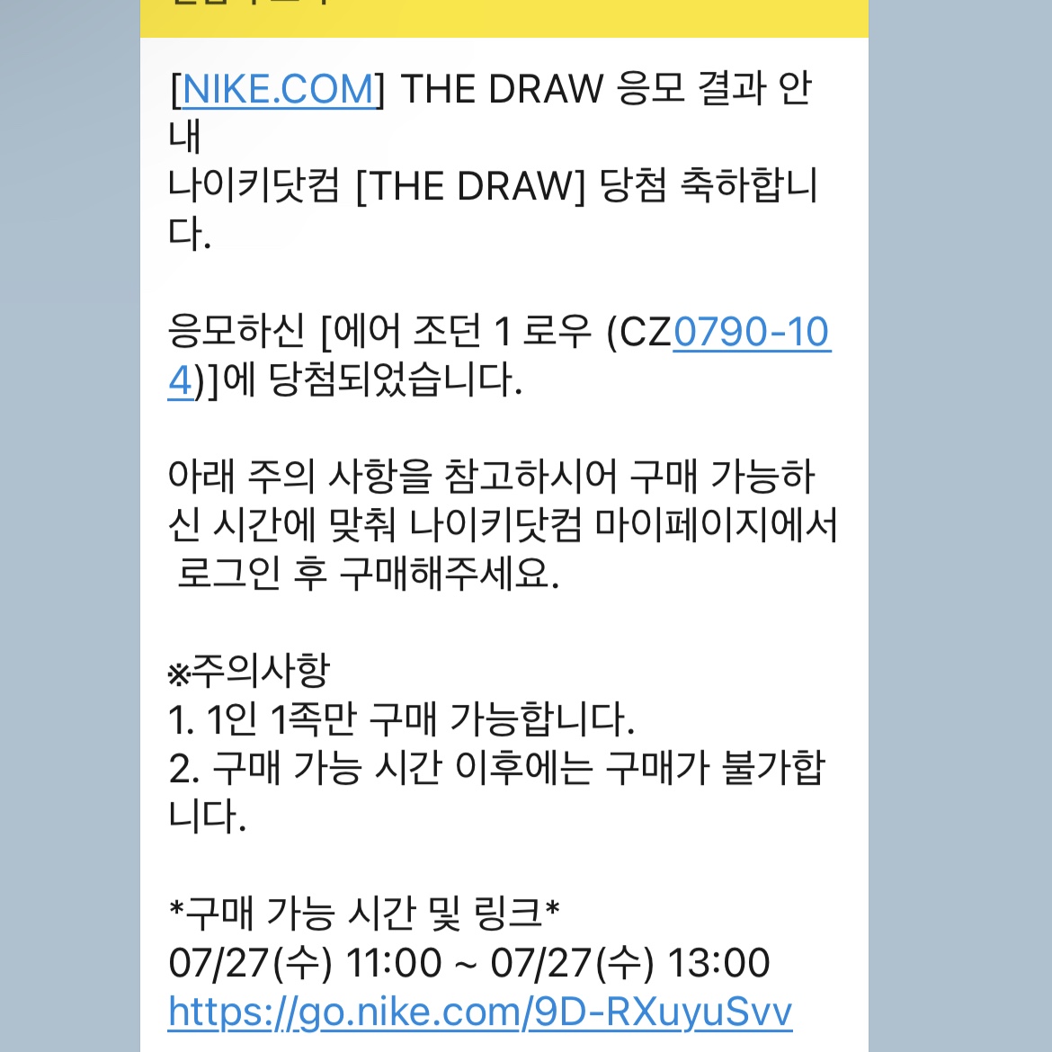Jordan 1 Retro Low OG Black and Dark Powder Blue 착용 스타일